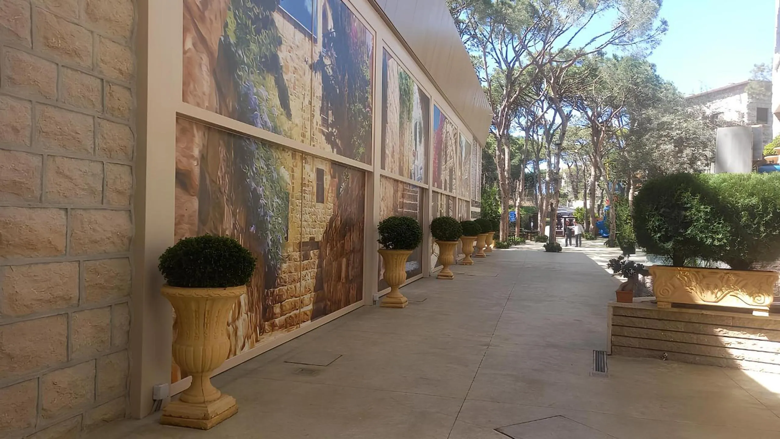Garden in Colibri Hotel