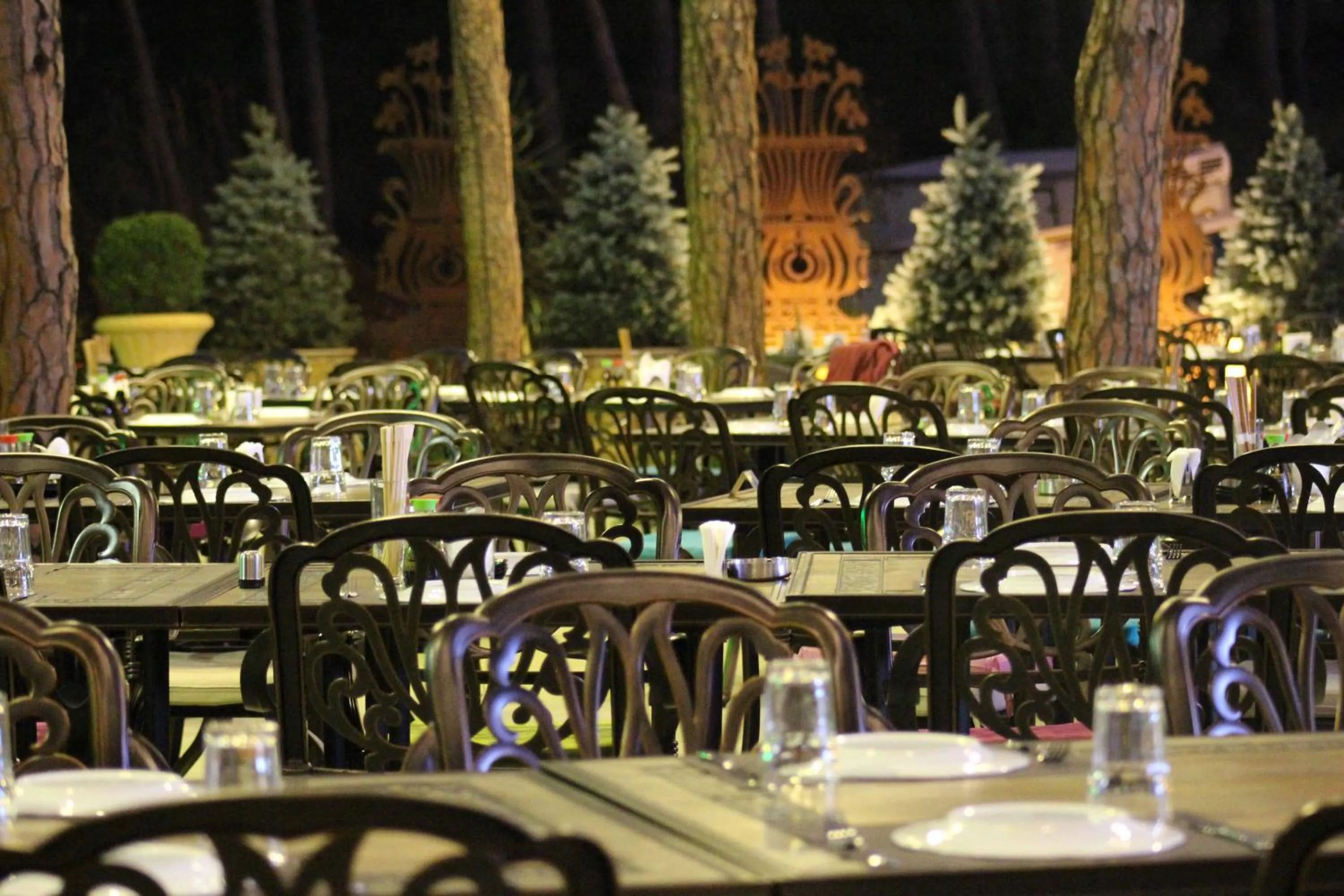 Restaurant/places to eat in Colibri Hotel