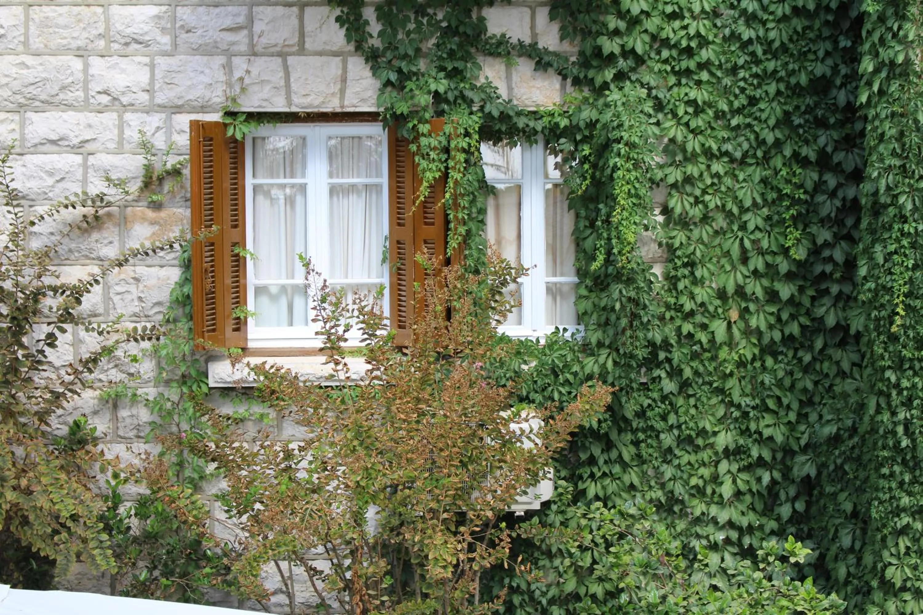 Colibri Hotel