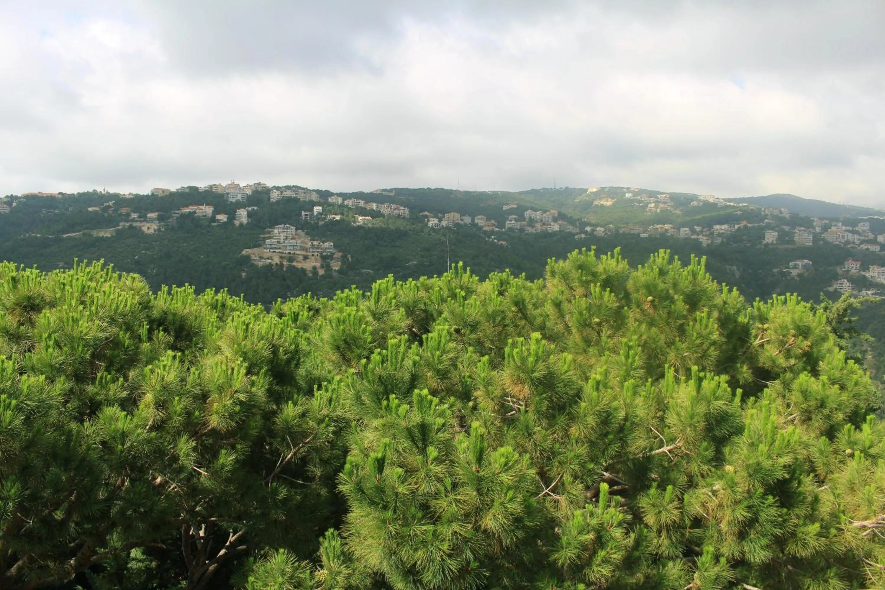 Natural landscape in Colibri Hotel
