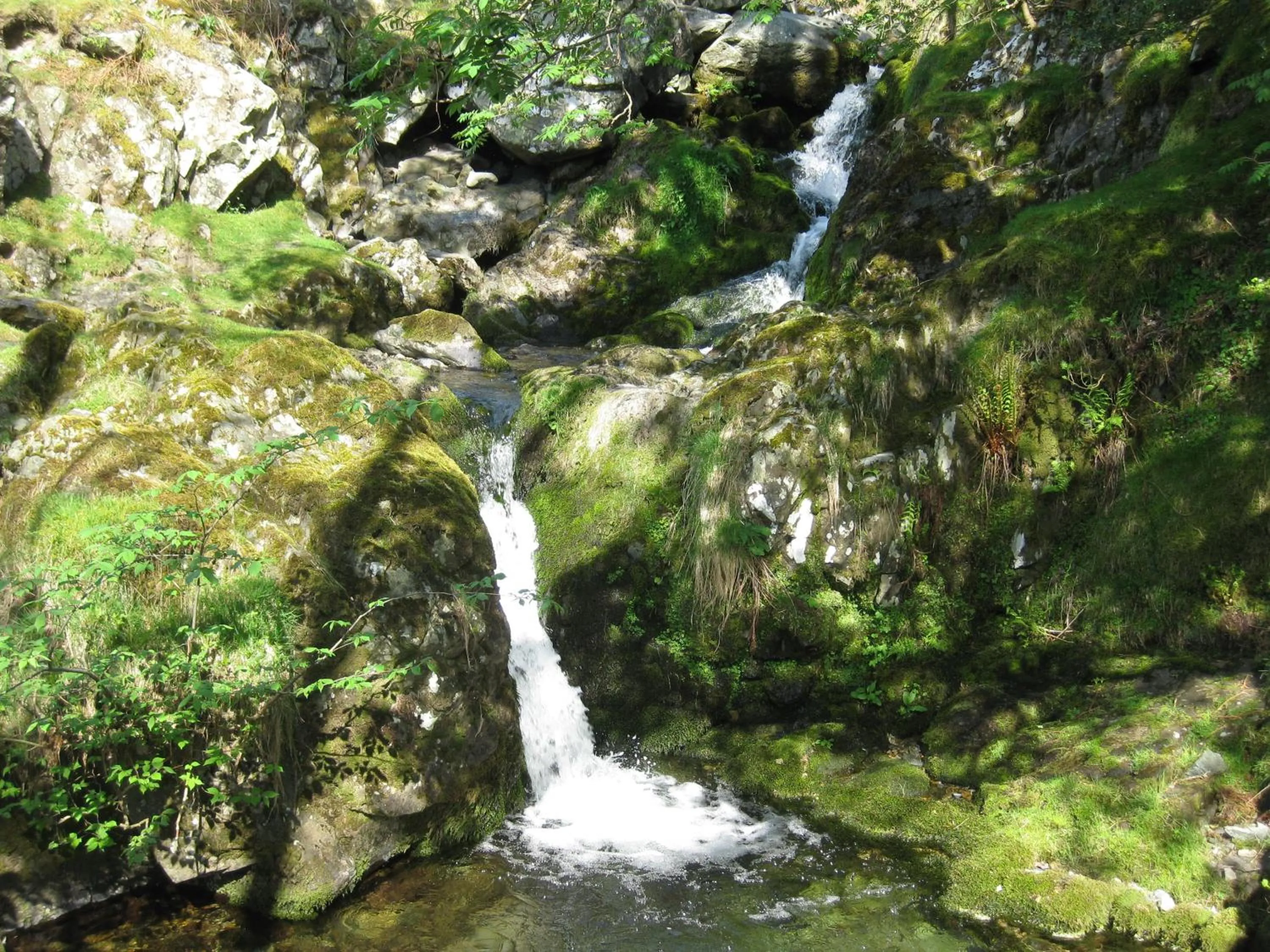 Natural landscape in Barn-Gill House