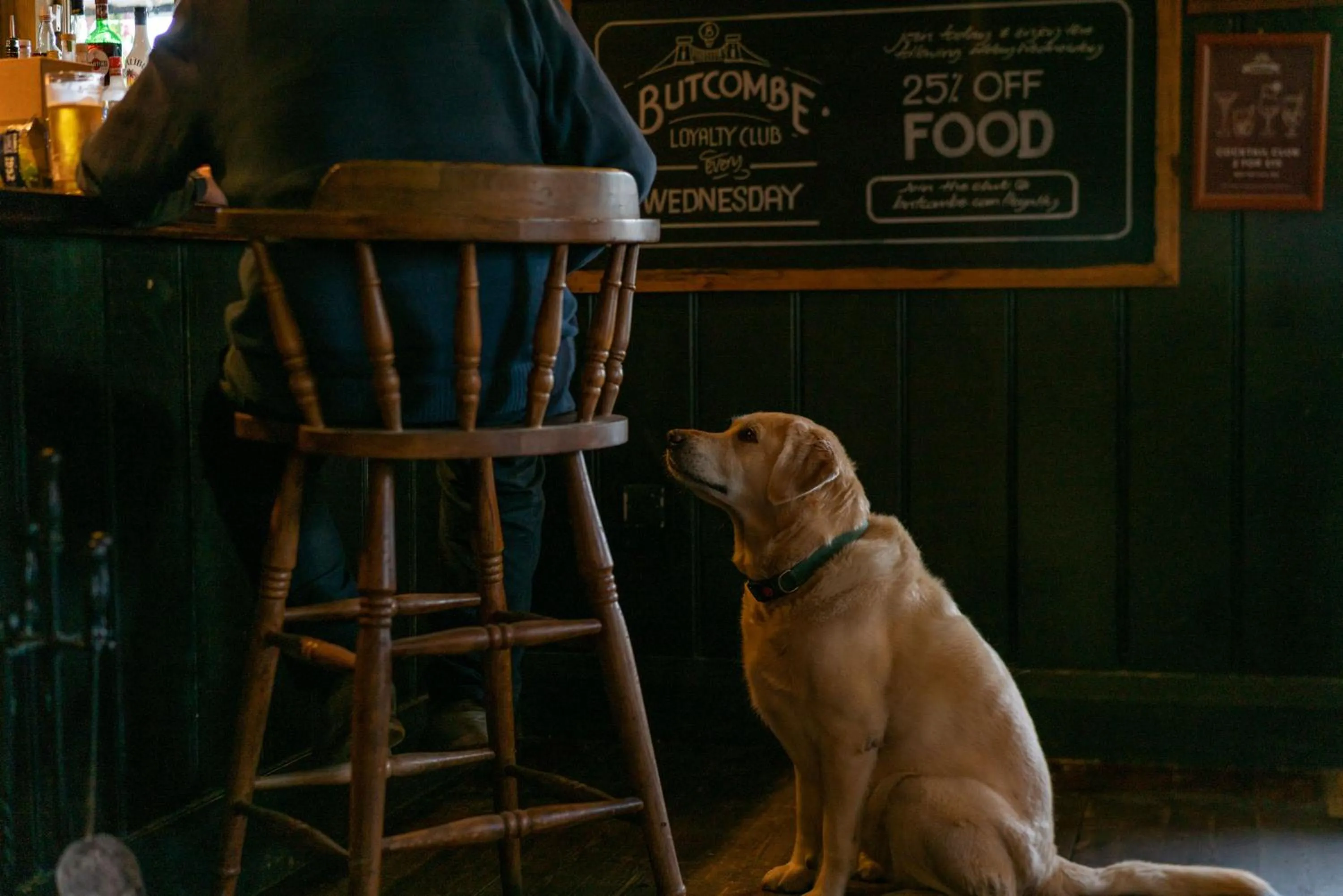 Pets in The Anchor Inn