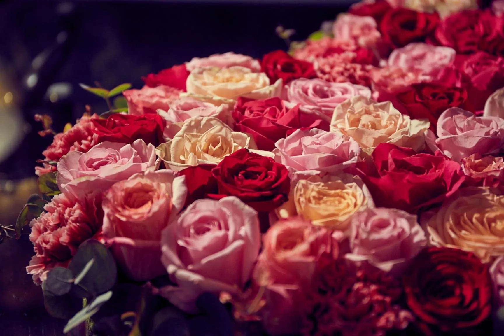 Lobby or reception in Art Deco Imperial Hotel