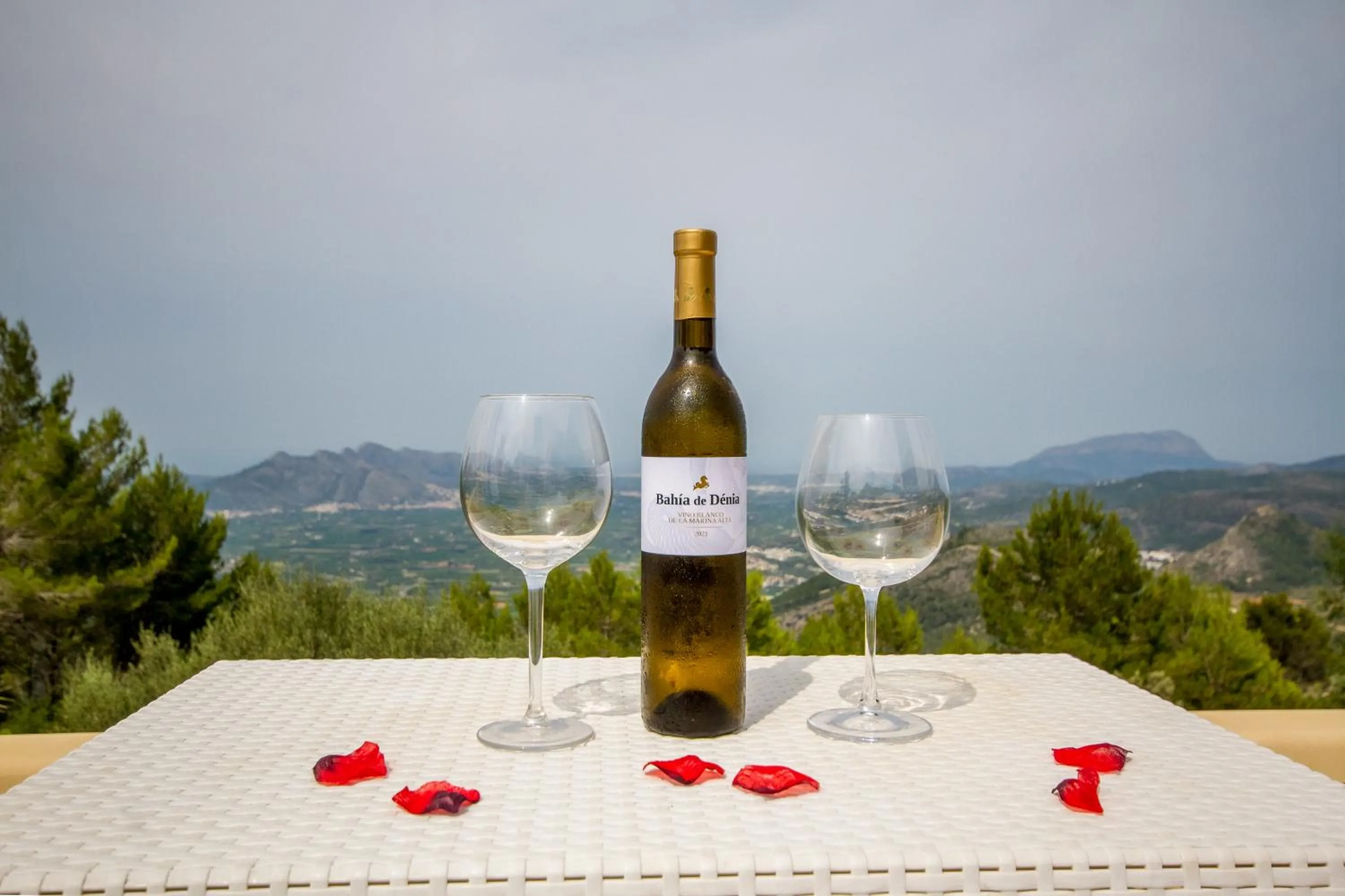 Alcoholic drinks in Casa Lennisa