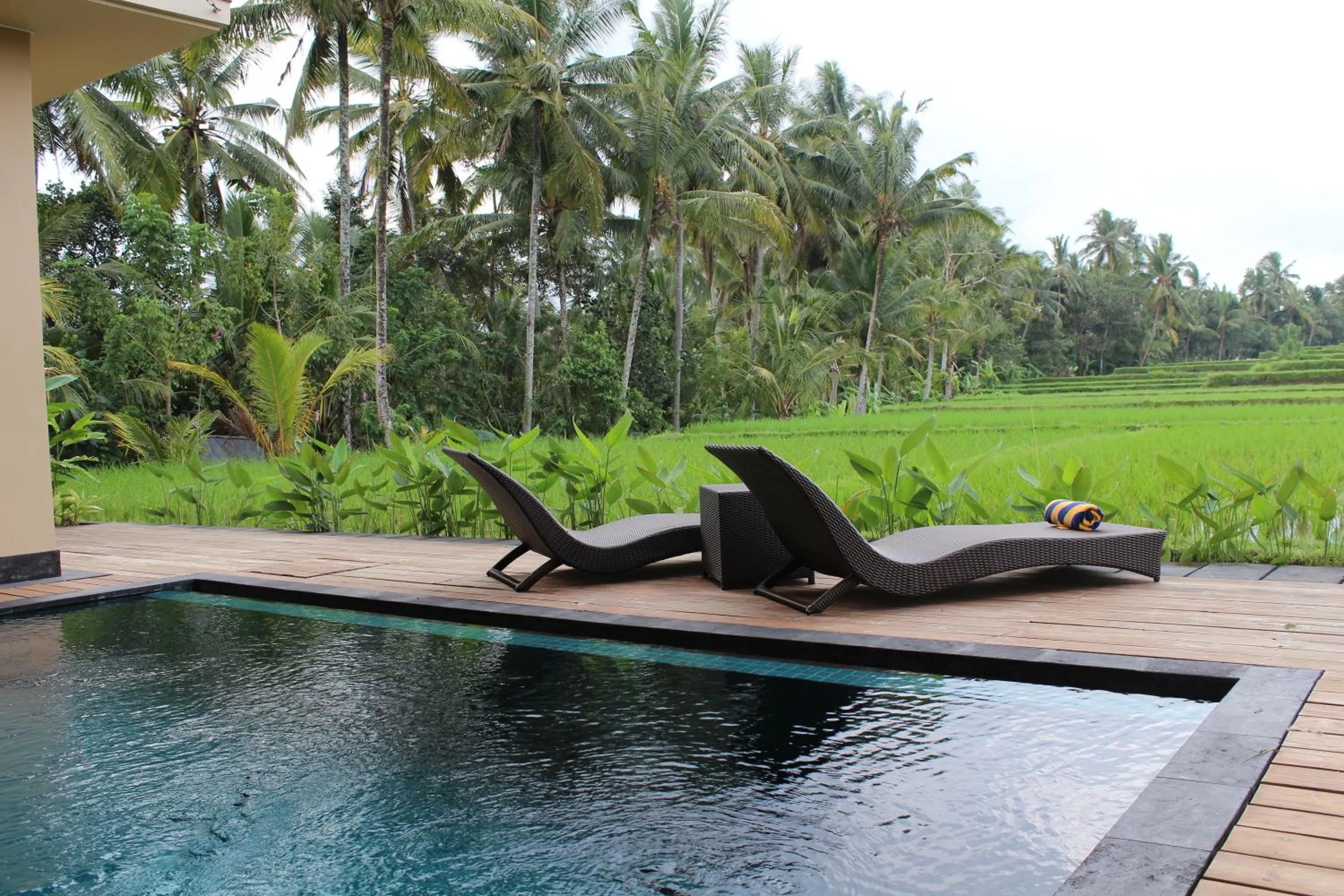 Pool view in Manyi Village Ubud