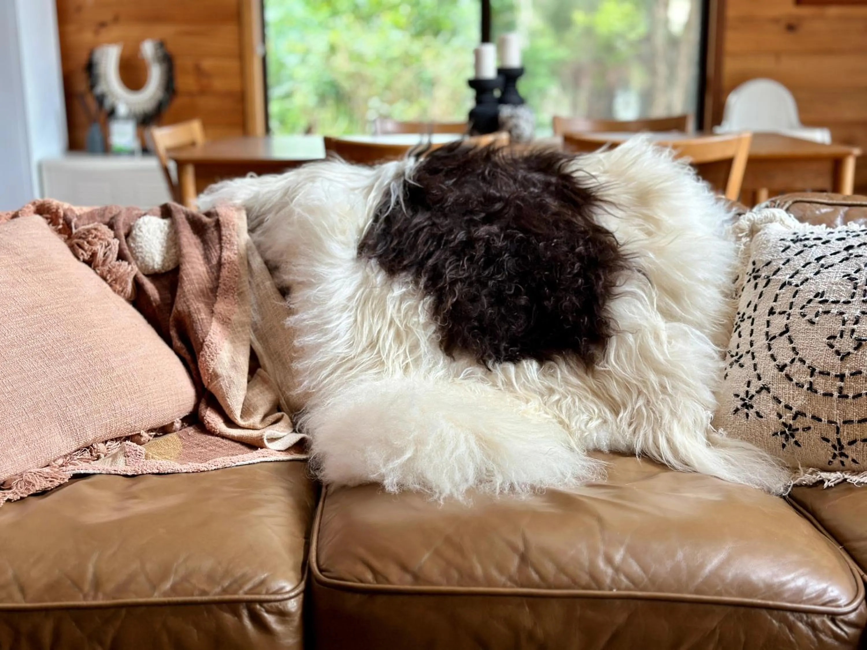 Kangaroo Valley Timber Cabin