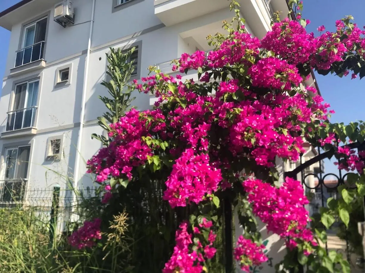 Garden in Dalaman Pansiyon & Family rooms