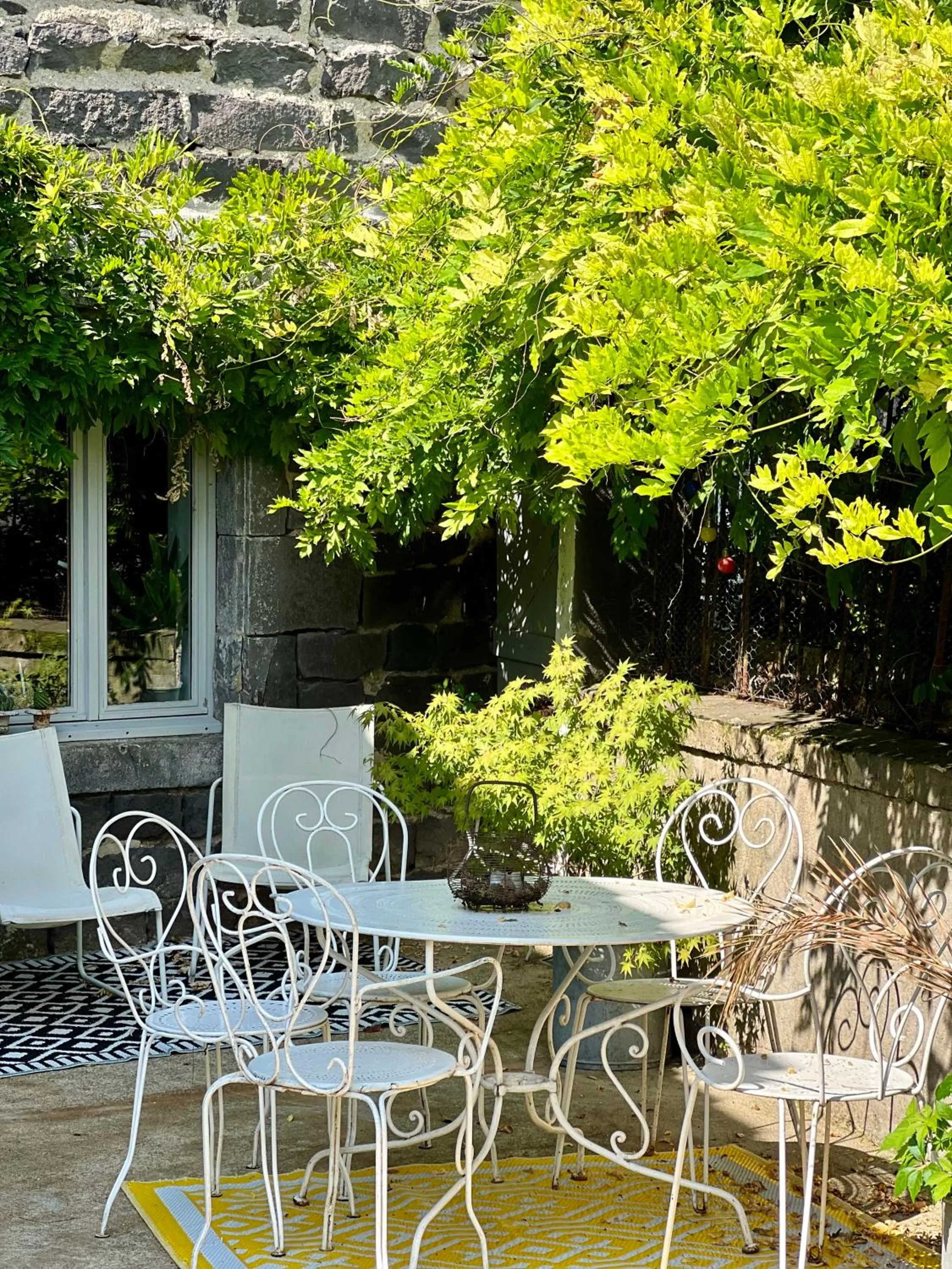 Les hirondelles du marais