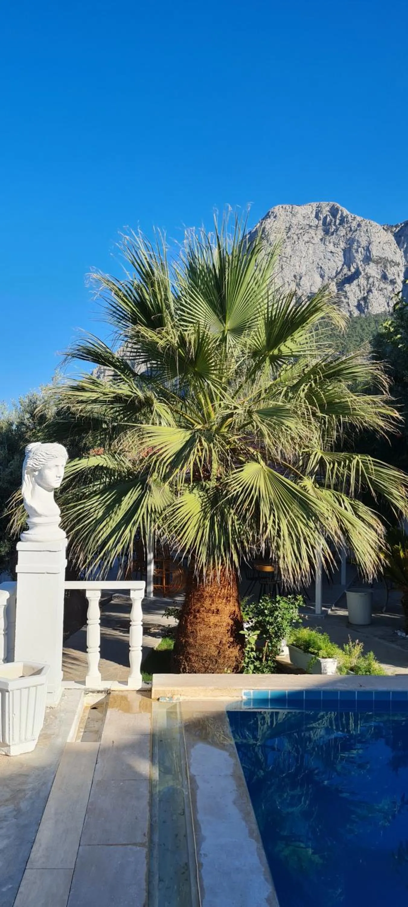 Natural landscape in APA Mountain Lodge