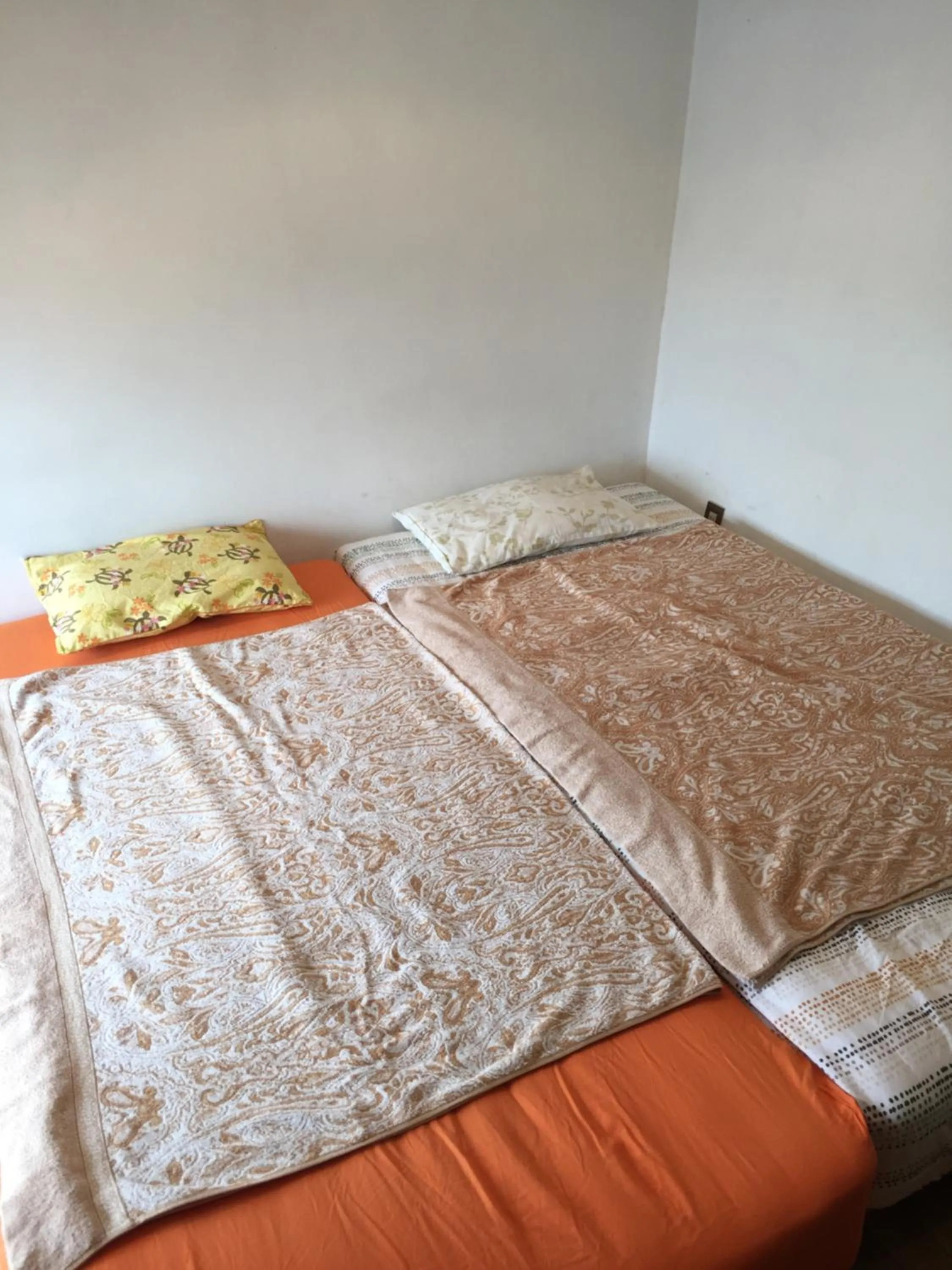 Photo of the whole room, Bed in Palette Takashimadaira guest house