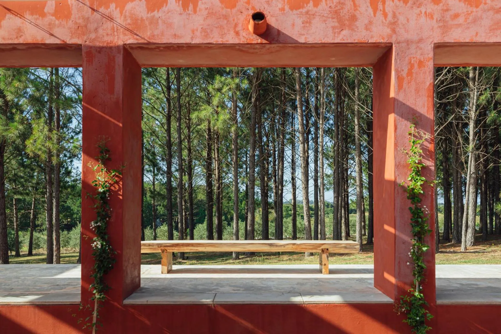 Garden view in LUZ Culinary Wine Lodge