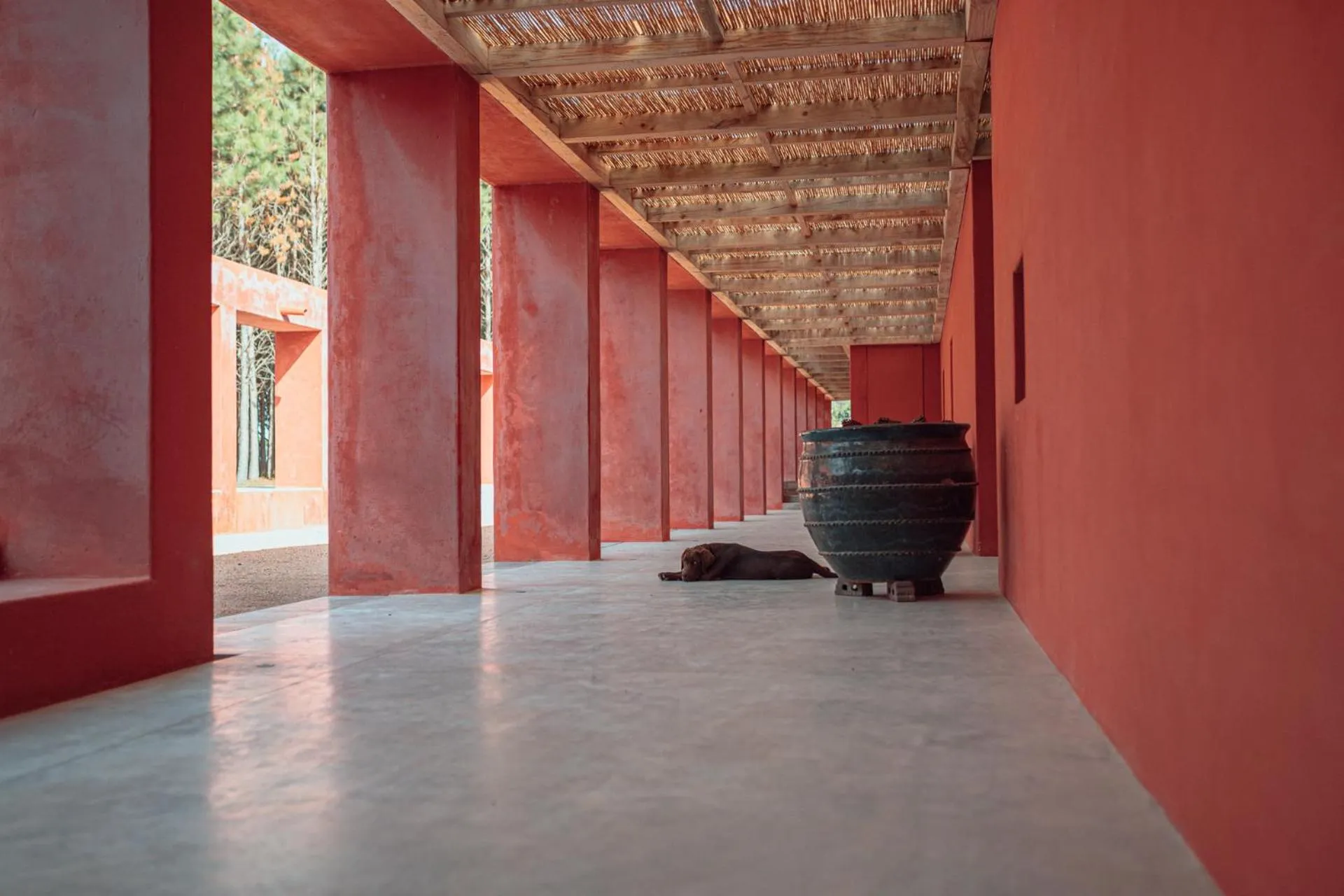 Patio in LUZ Culinary Wine Lodge