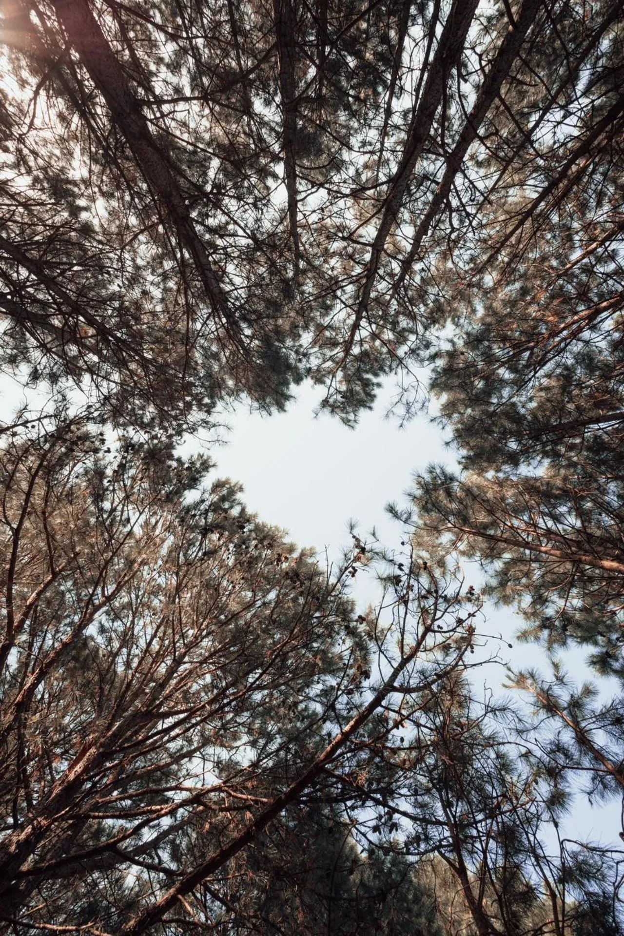 Landmark view in LUZ Culinary Wine Lodge