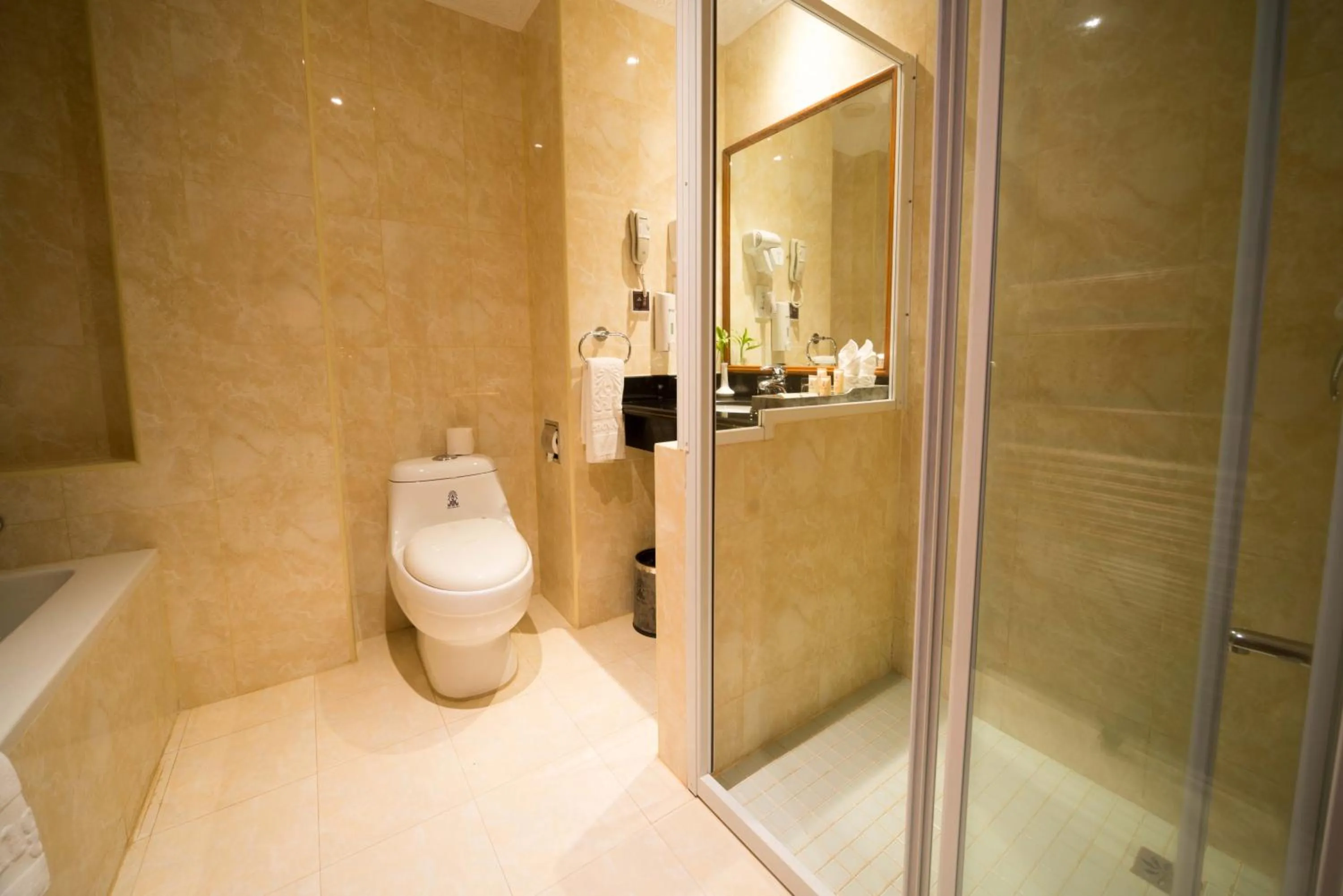 Shower in Regency Angkor Hotel