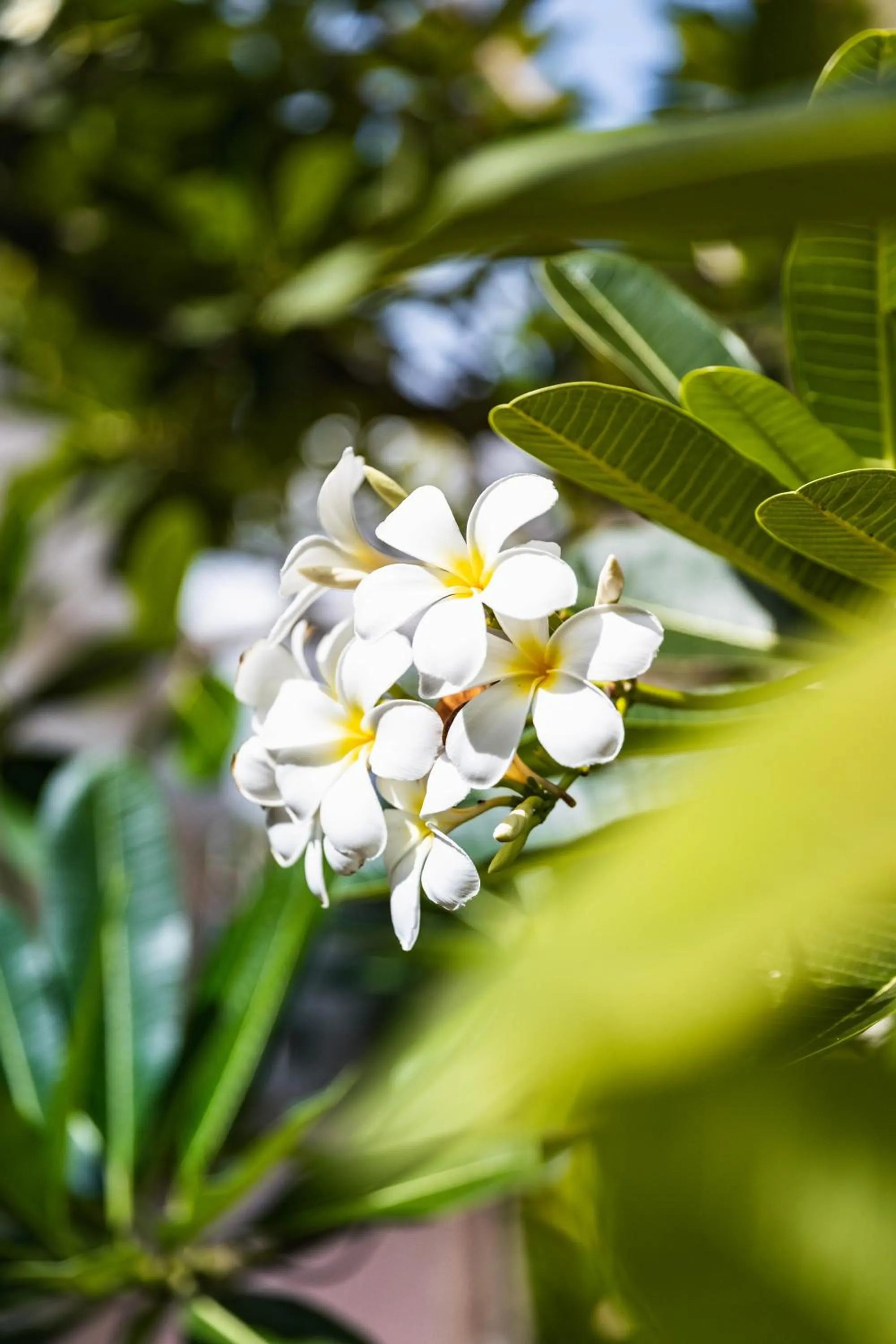 View (from property/room) in Amatak Boutique Hotel