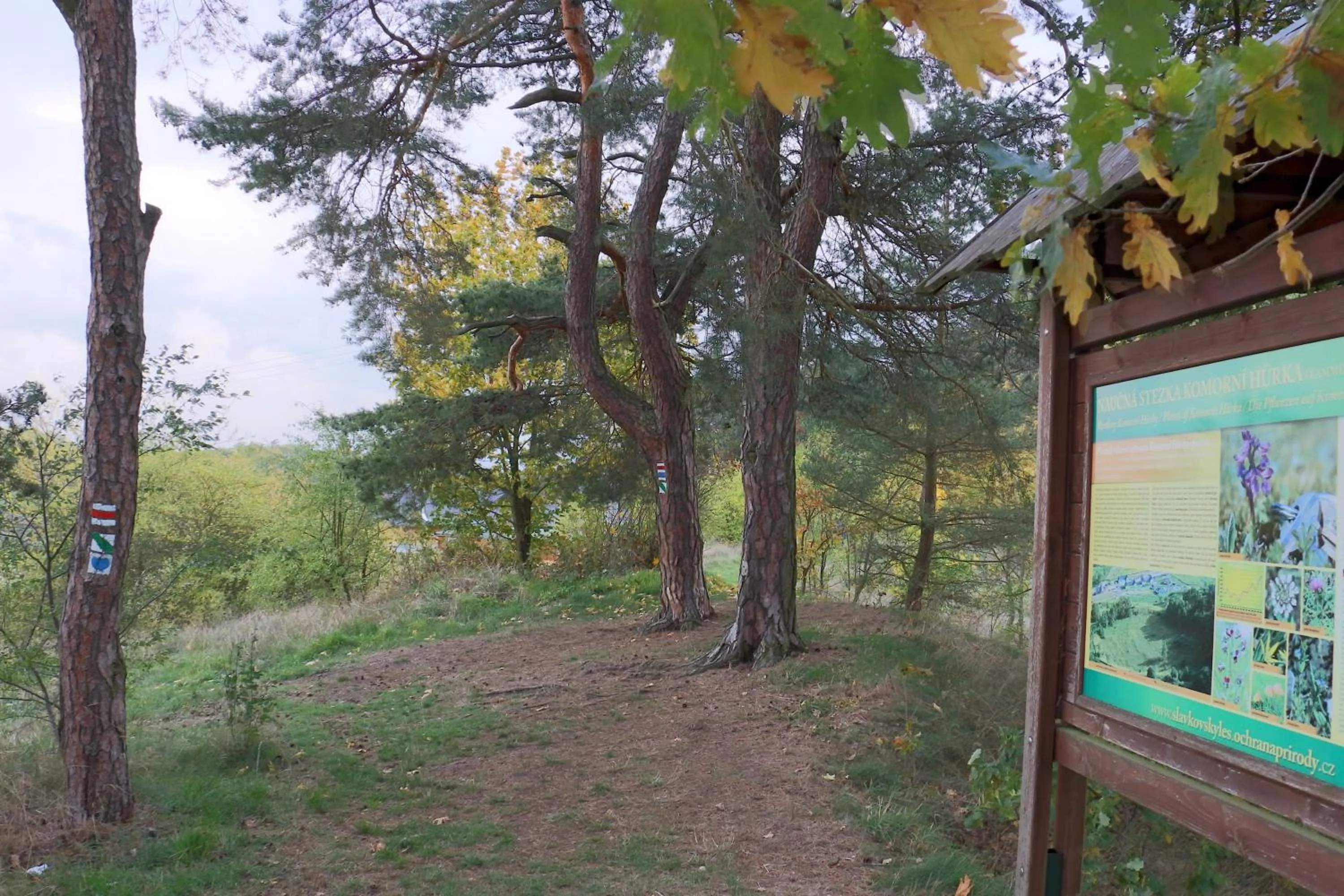 Natural landscape in Komorni Hurka