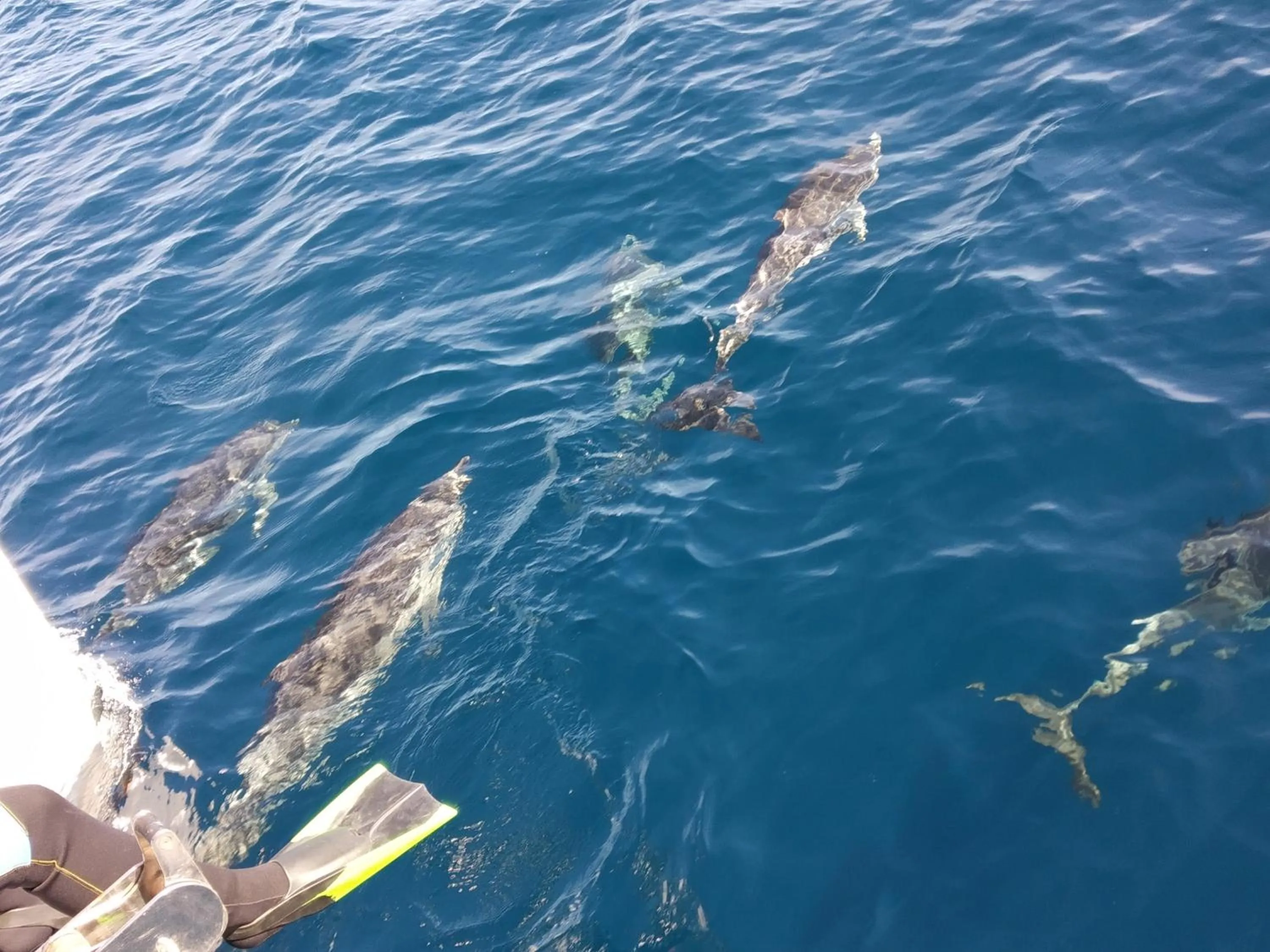 Activities in Aparthotel Masseria Villa Marchesi