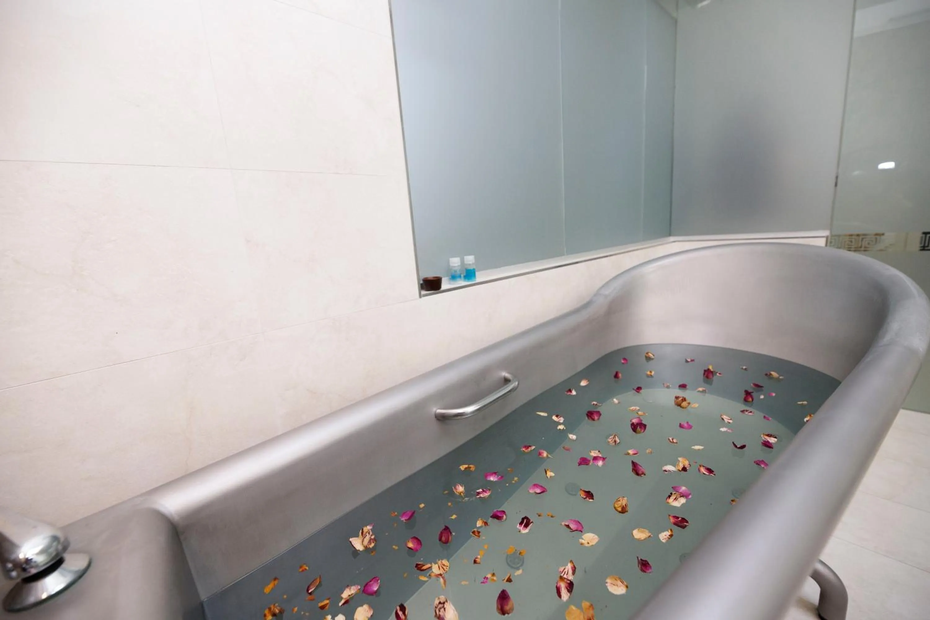 Spa and wellness centre/facilities in Salvator Hotel