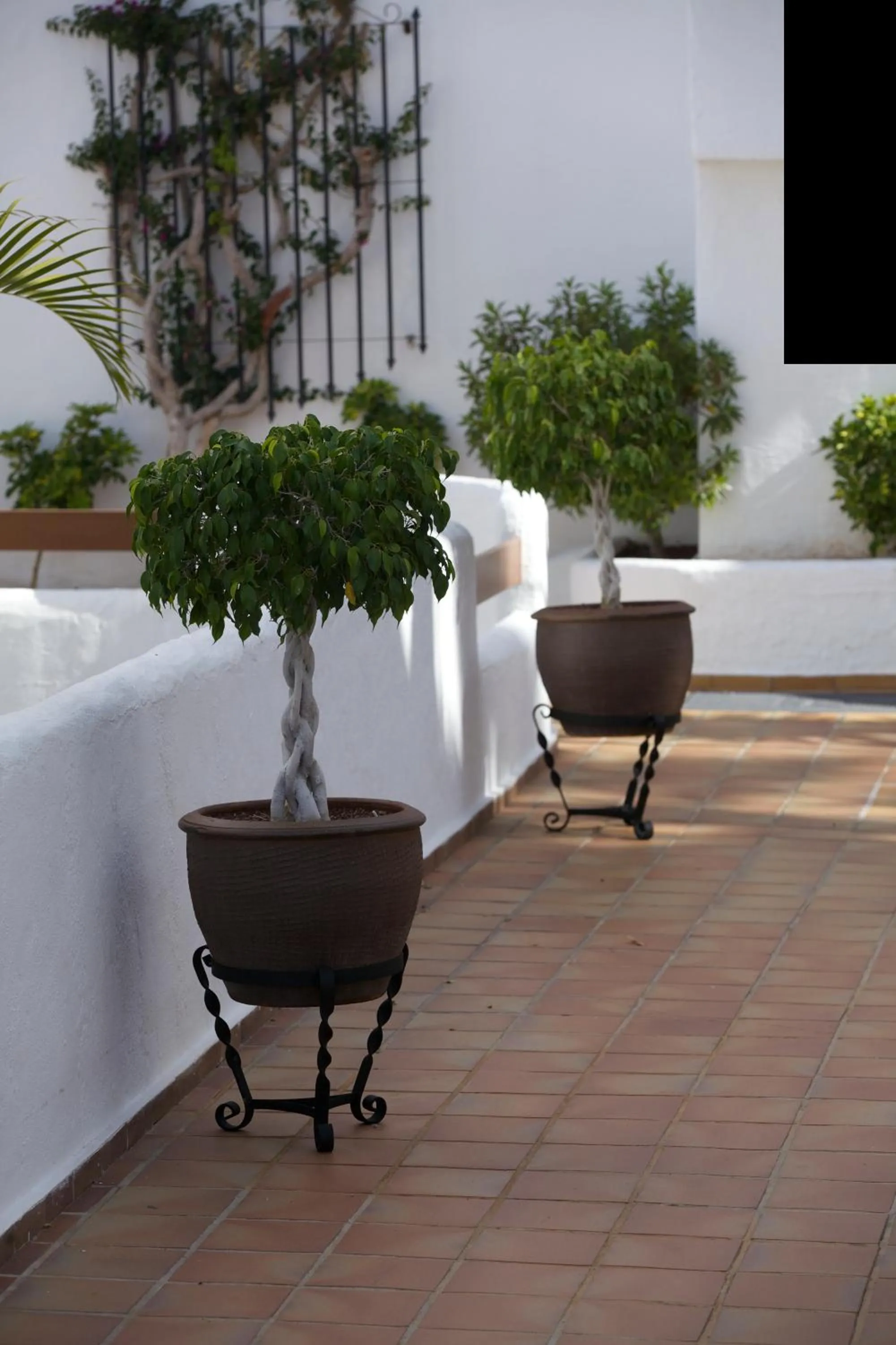 Decorative detail in Ona Beverly Hills Suites