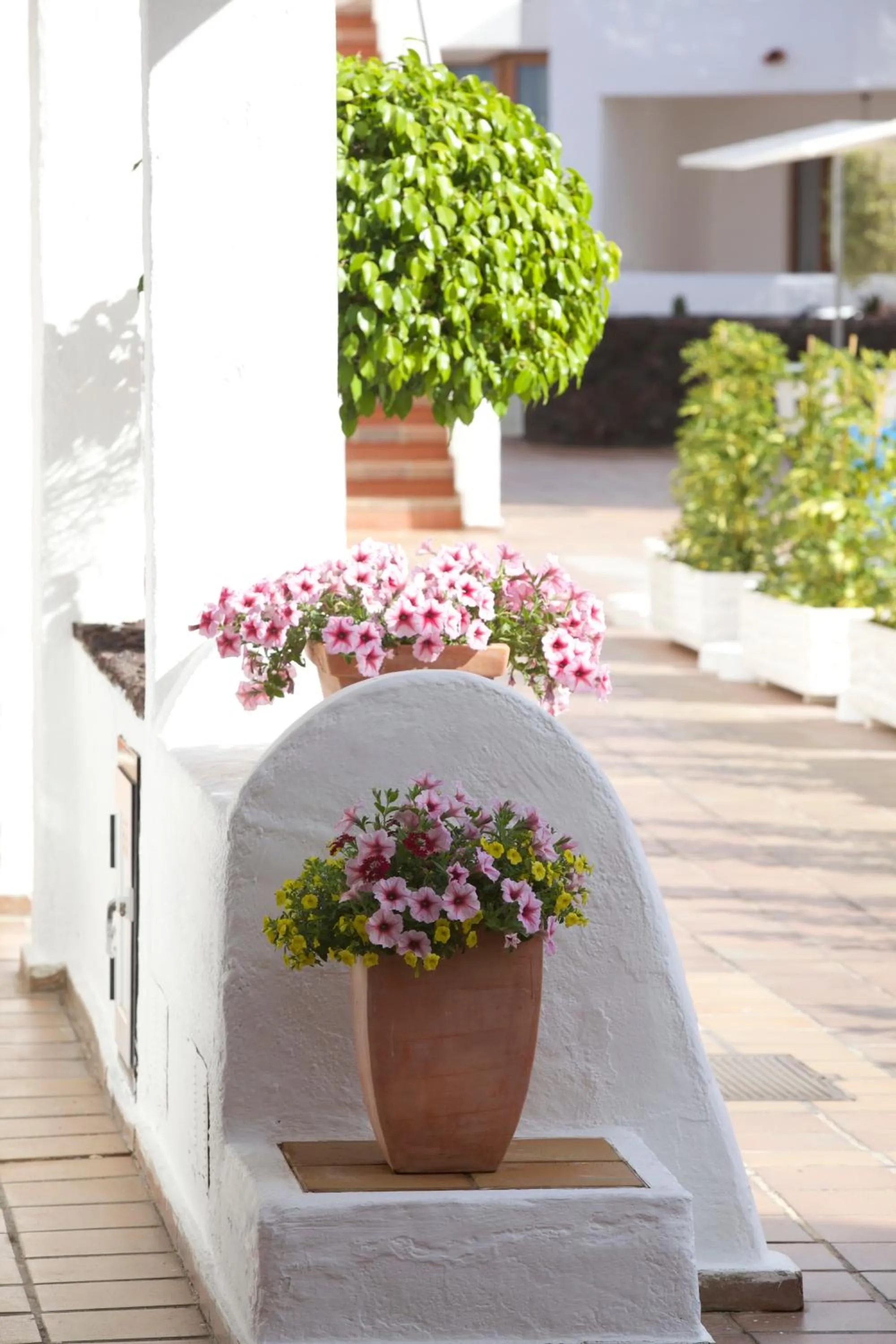 Other in Ona Beverly Hills Suites