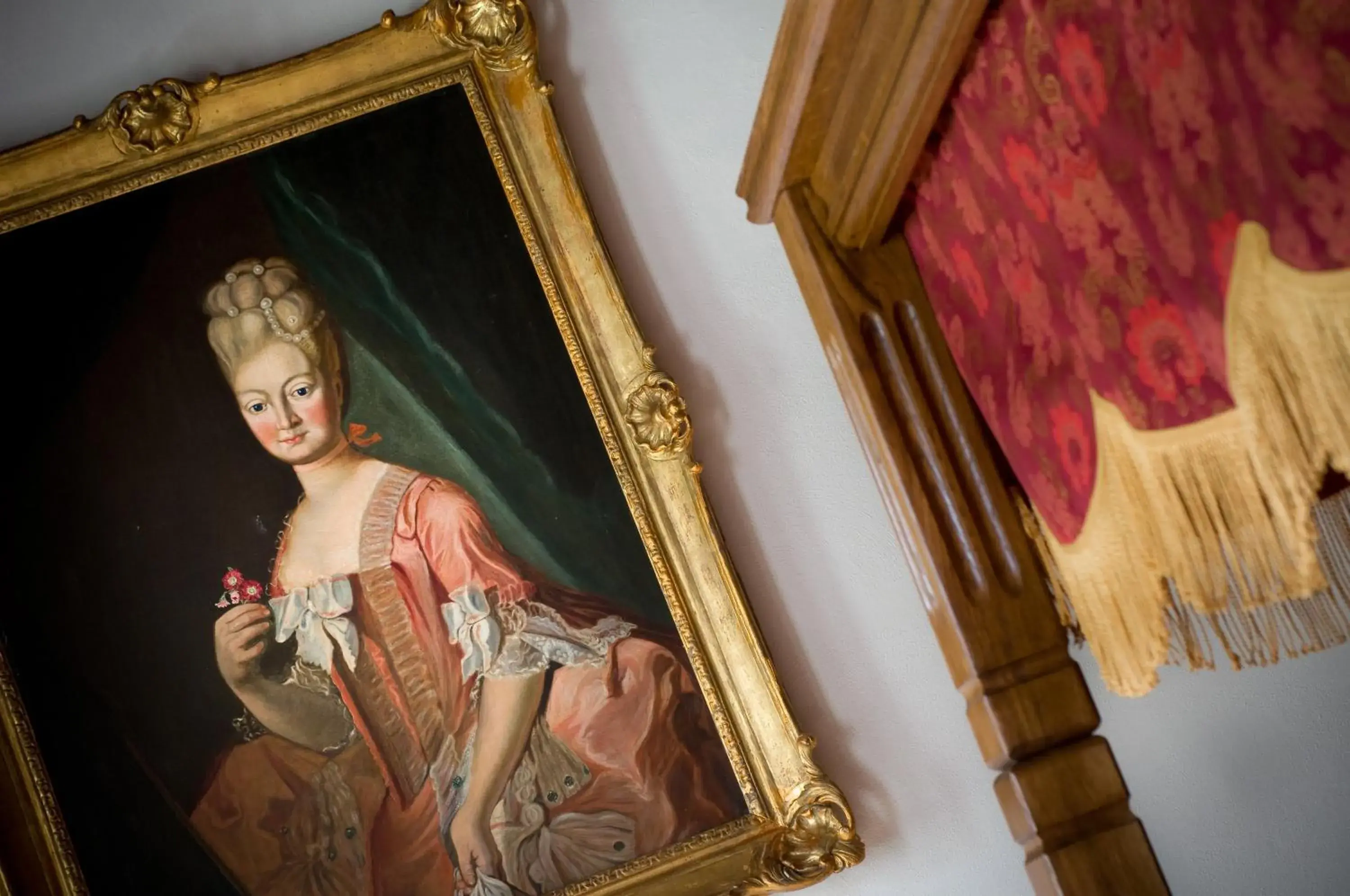 Deluxe Double Room with Bath in Zámek Zábřeh hotel & pivovar Deluxe Double Room with Bath in Zámek Zábřeh hotel & pivovar