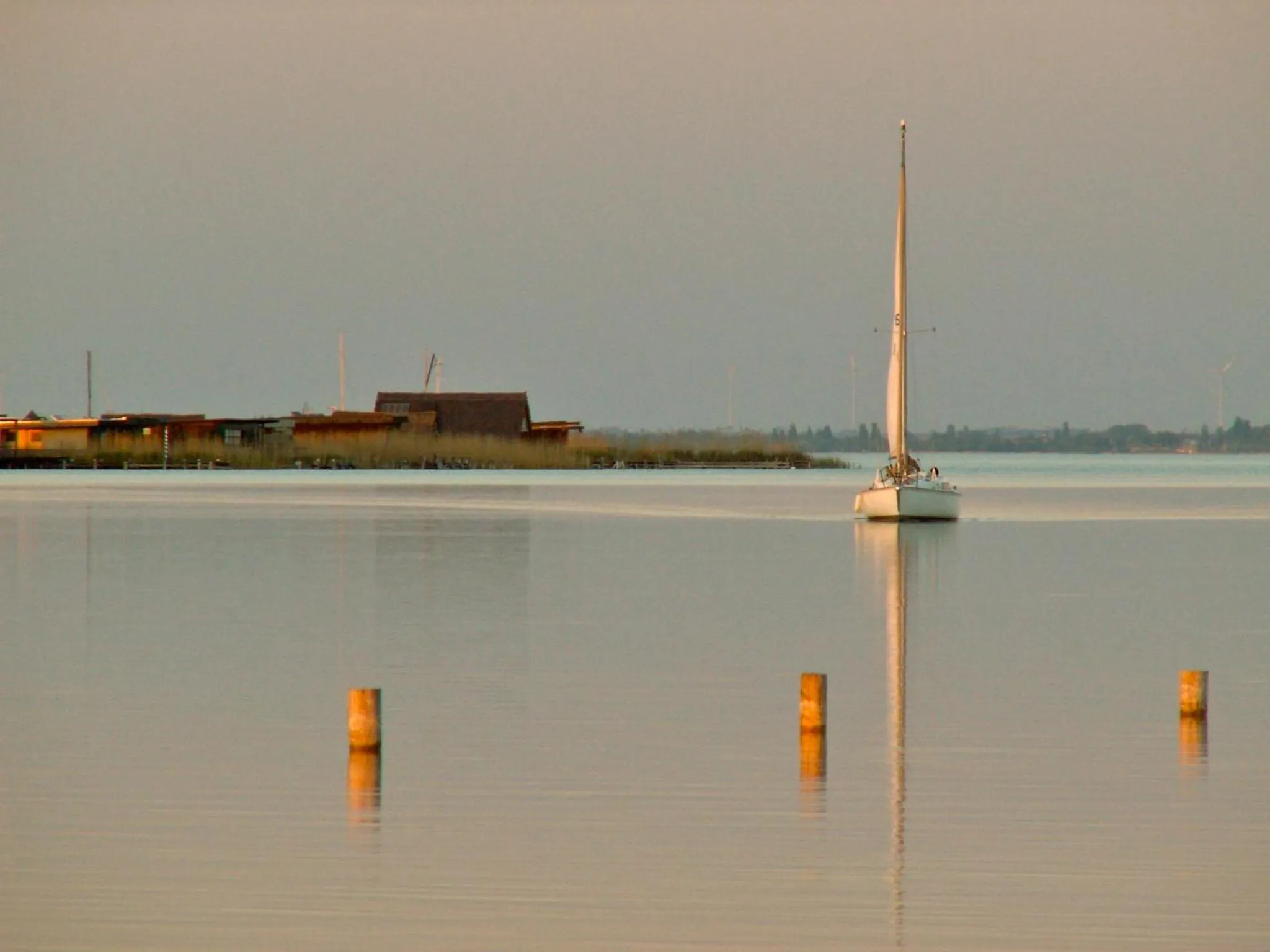 Area and facilities in Hotel am See Rust