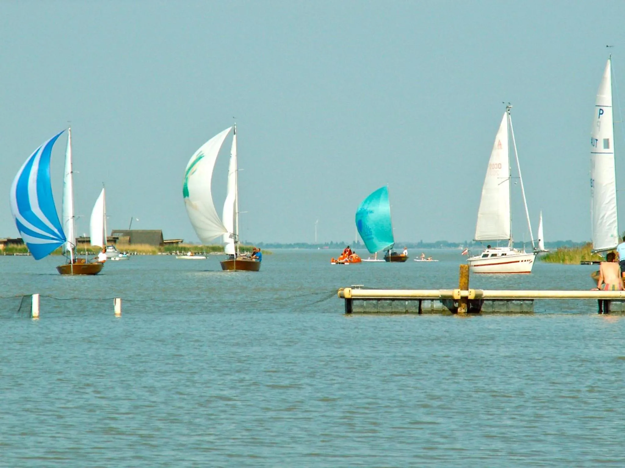 Area and facilities in Hotel am See Rust
