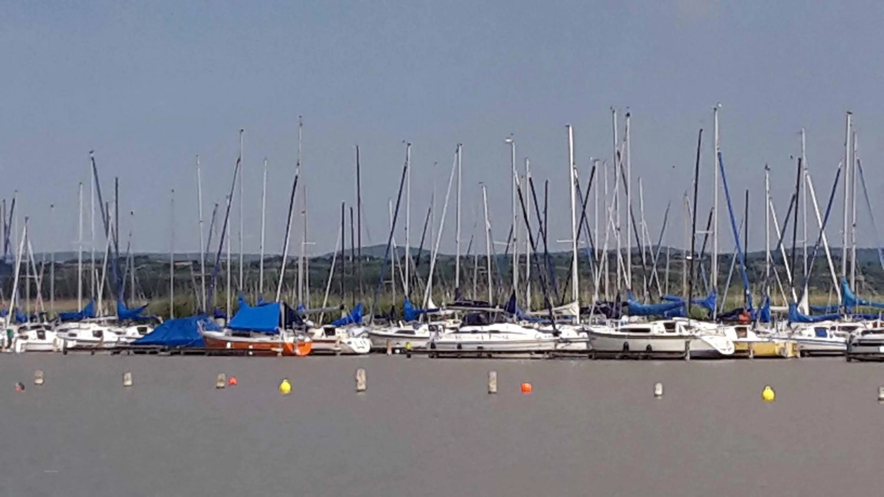 Nearby landmark in Hotel am See Rust