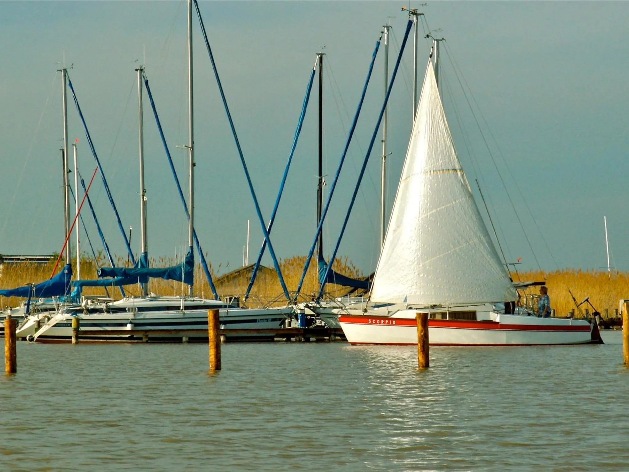Area and facilities in Hotel am See Rust