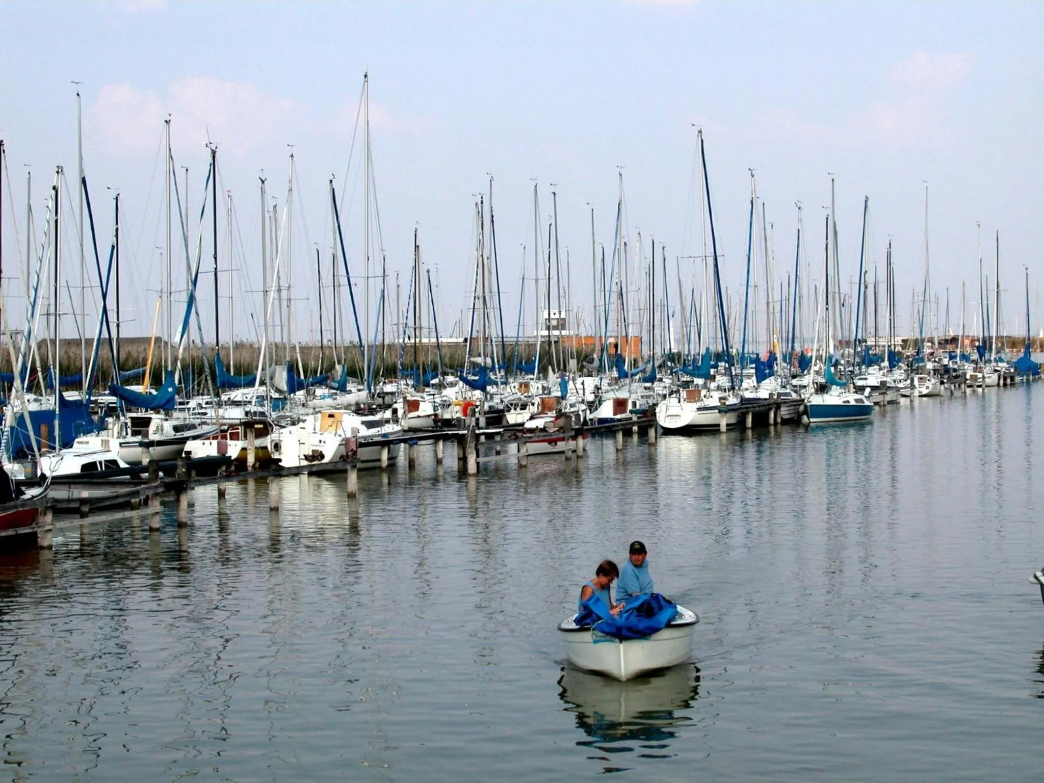 Area and facilities in Hotel am See Rust