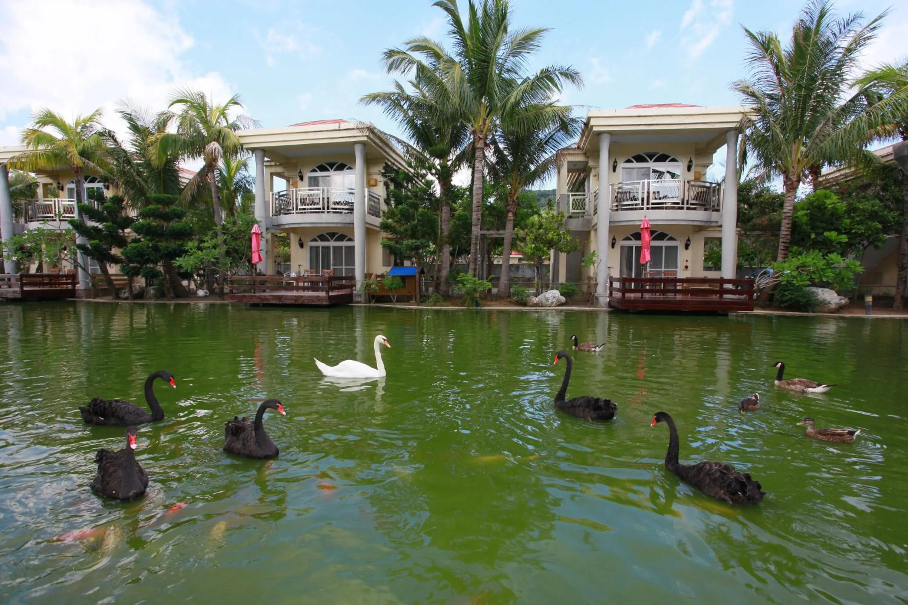 Garden in Swan Lake Villa Resort