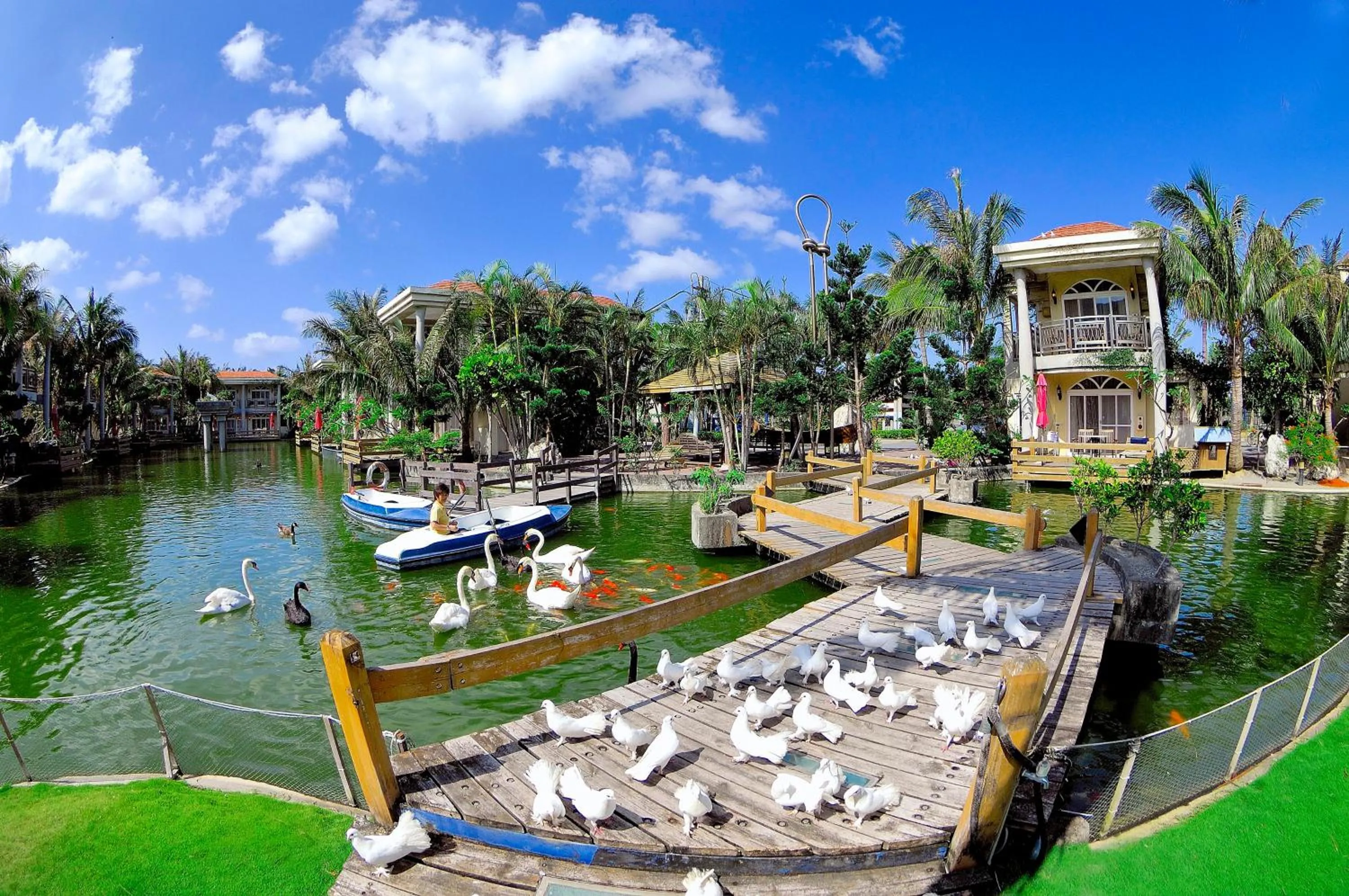 Garden in Swan Lake Villa Resort