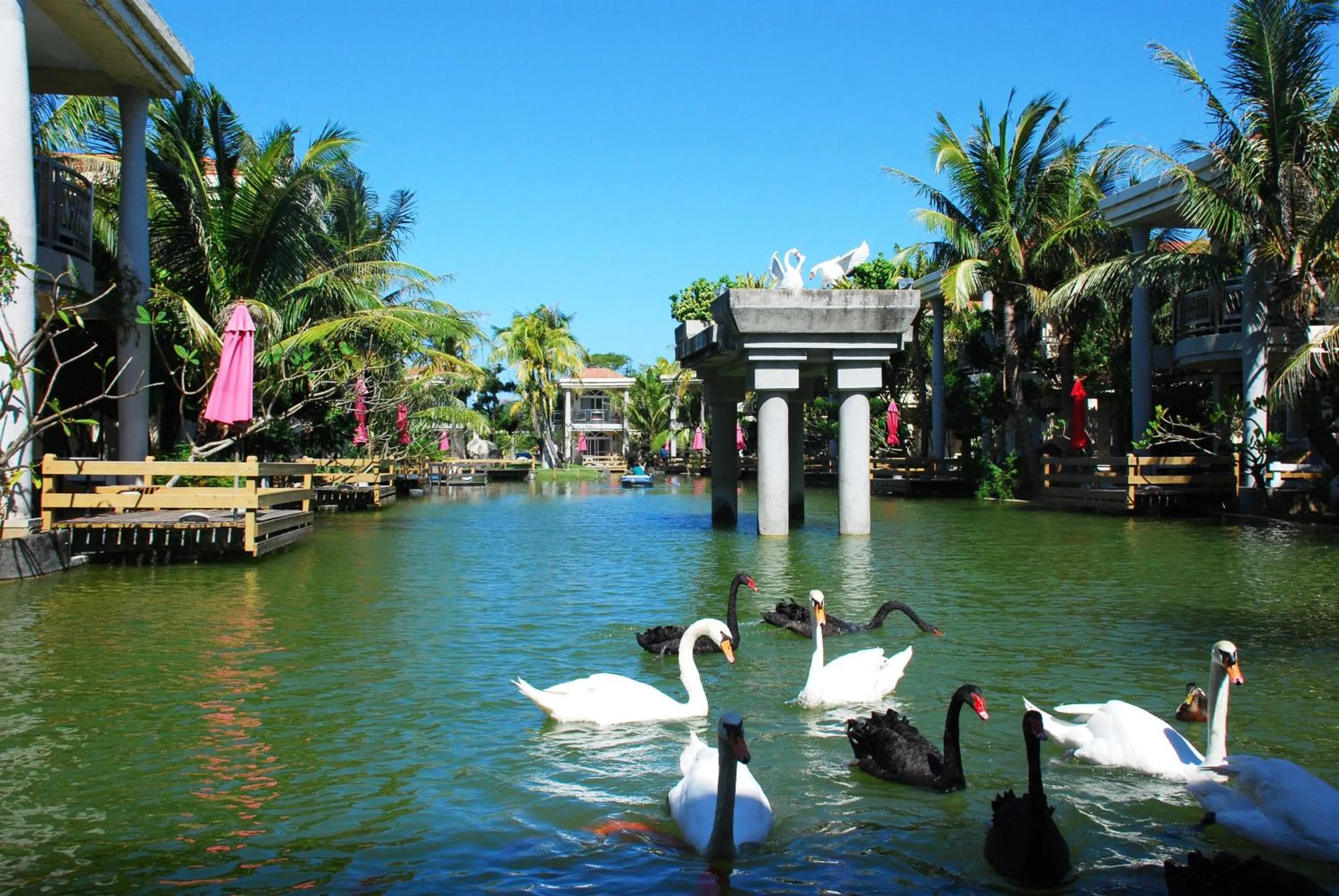 Area and facilities in Swan Lake Villa Resort