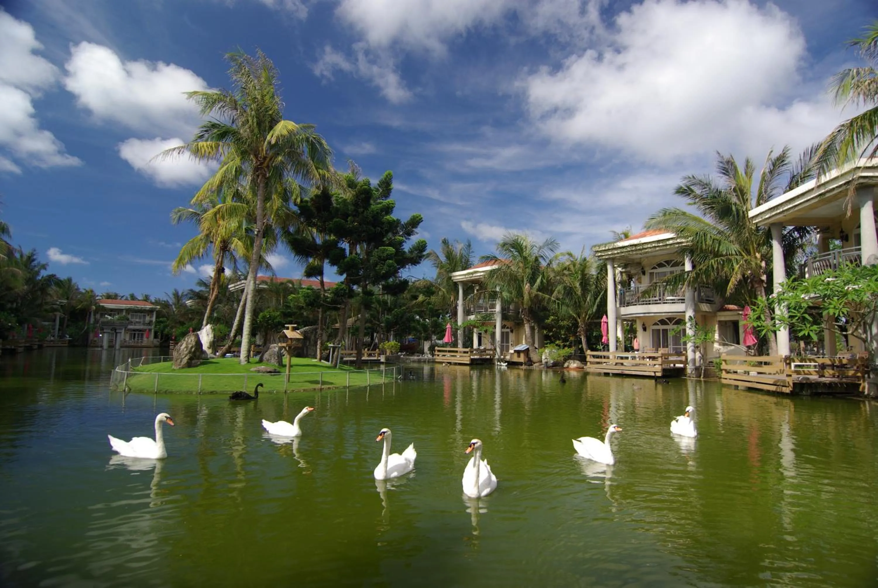 Garden in Swan Lake Villa Resort
