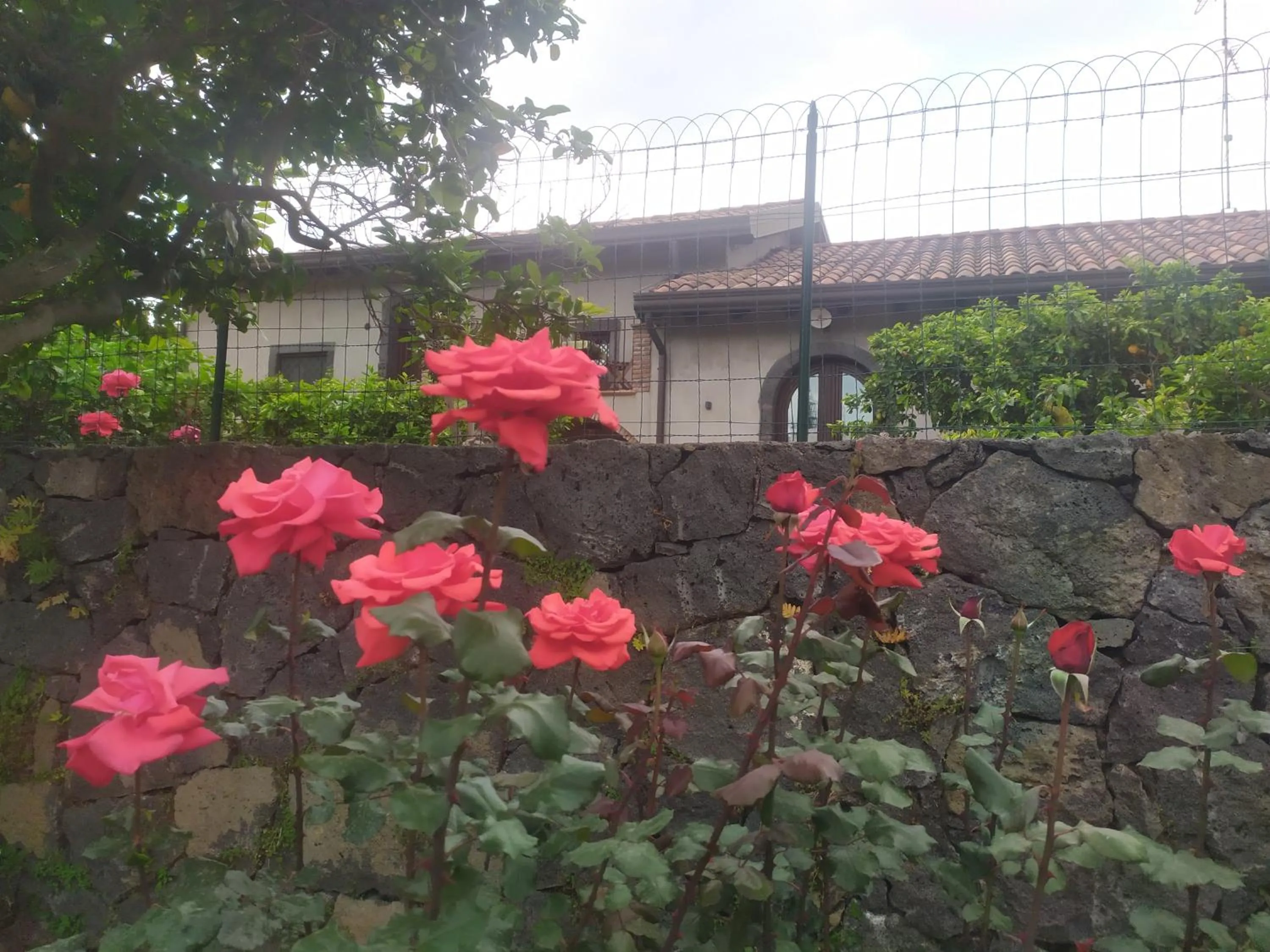 Garden in Il Giardino di Galatea