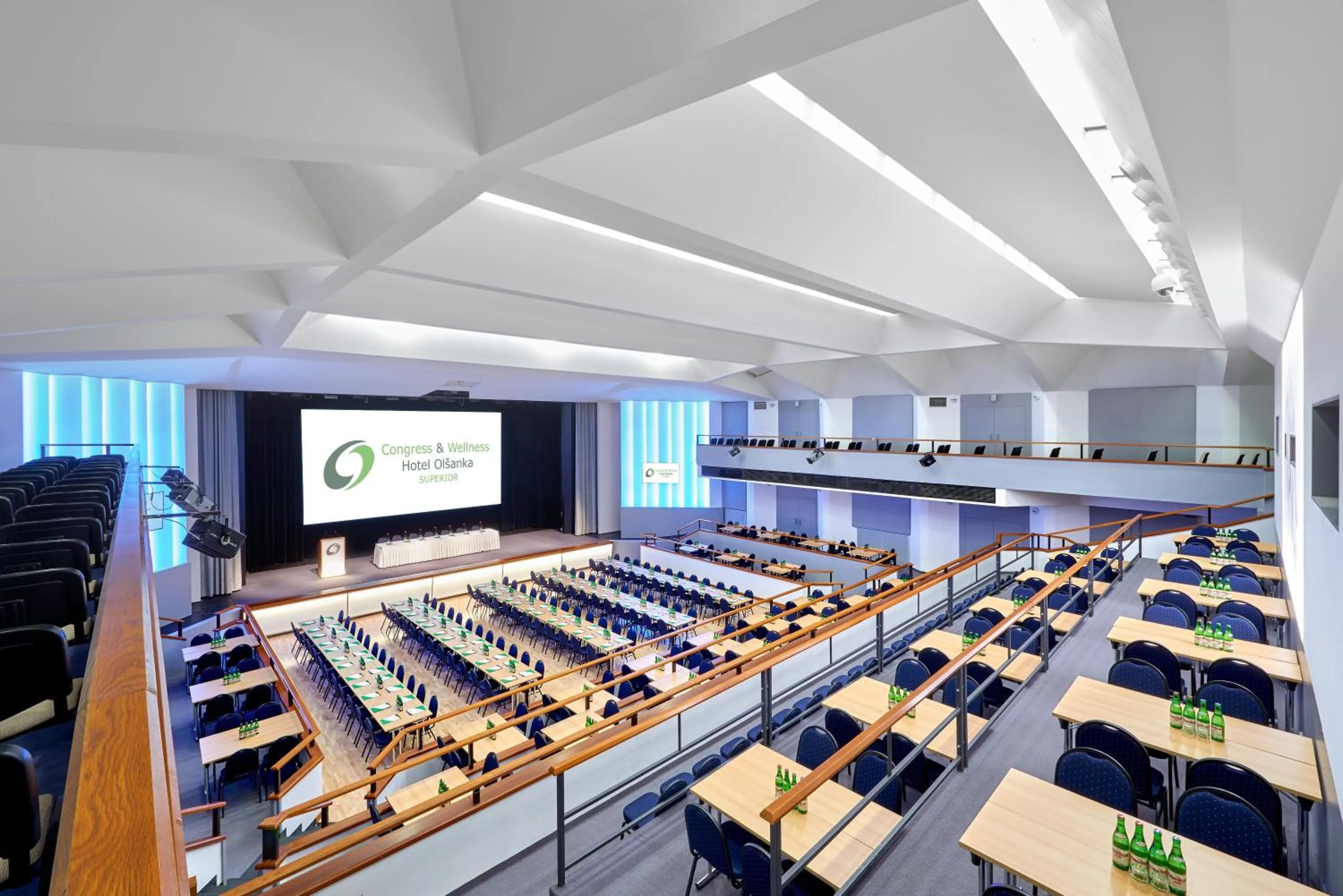 Business facilities in Congress & Wellness Hotel Olsanka