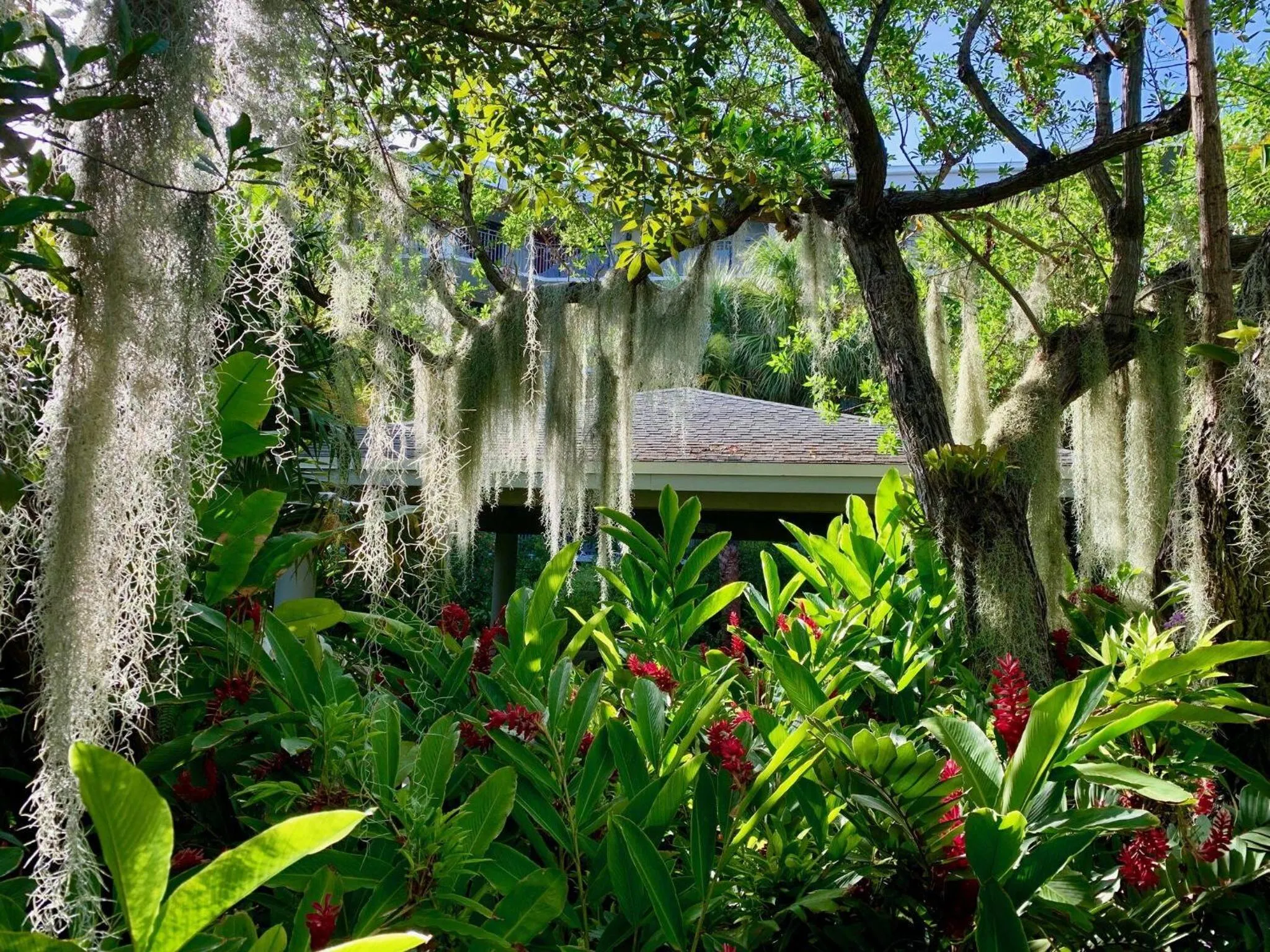 Key West On My Mind