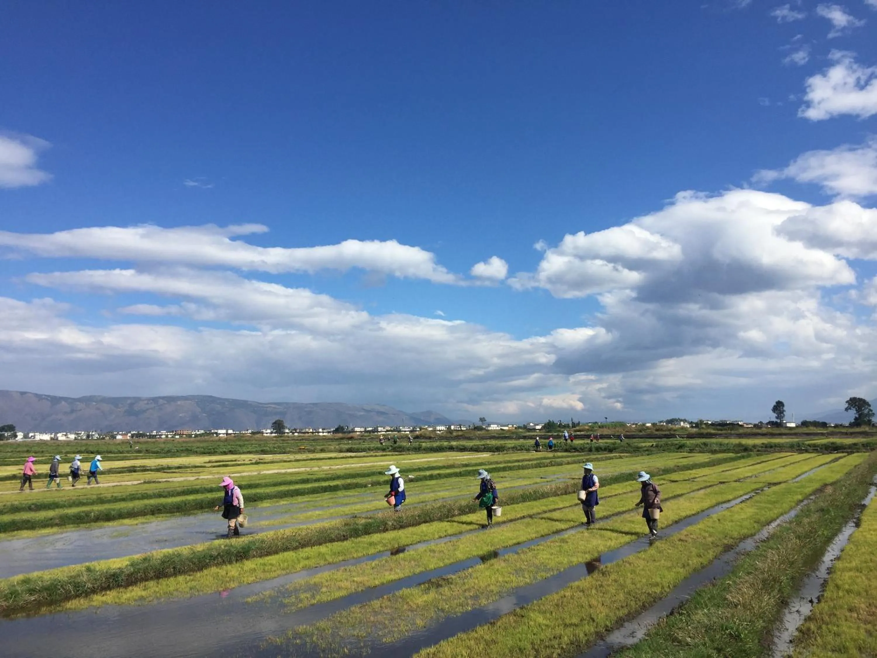Natural landscape in Dali Sky Valley Heritage Boutique Hotel
