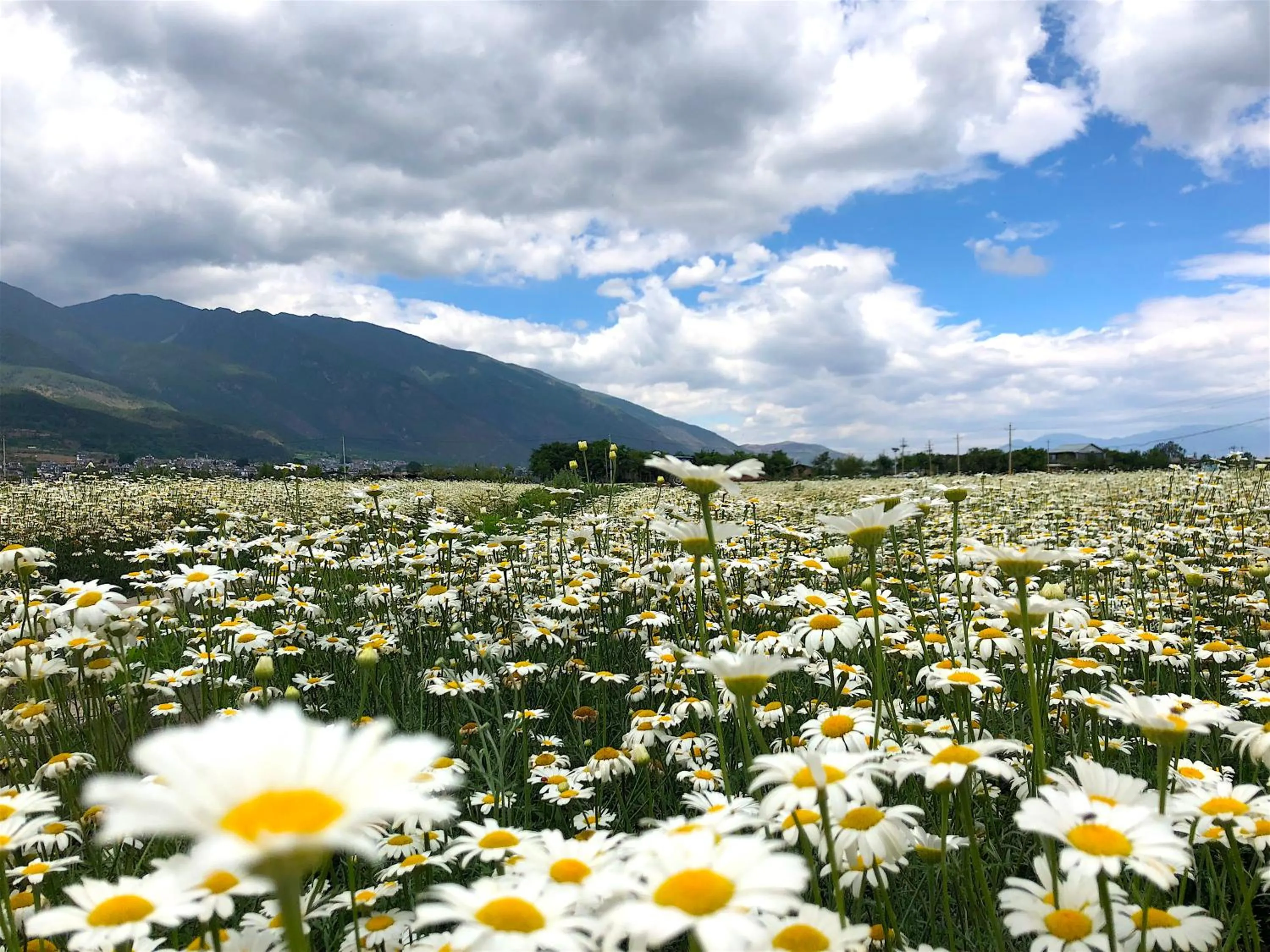 Natural landscape in Dali Sky Valley Heritage Boutique Hotel
