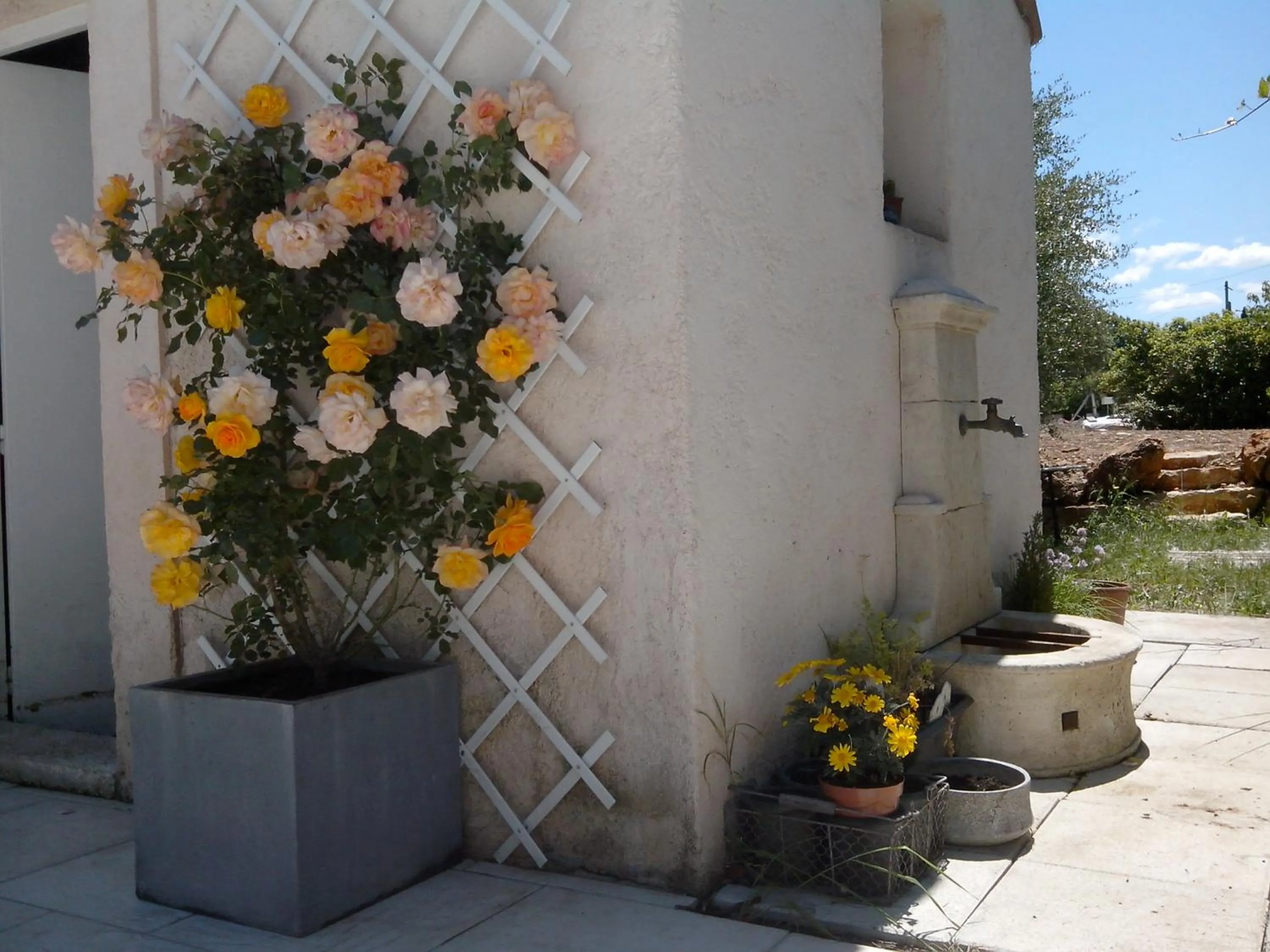 Garden in Chez Isabelle et Guy B&B