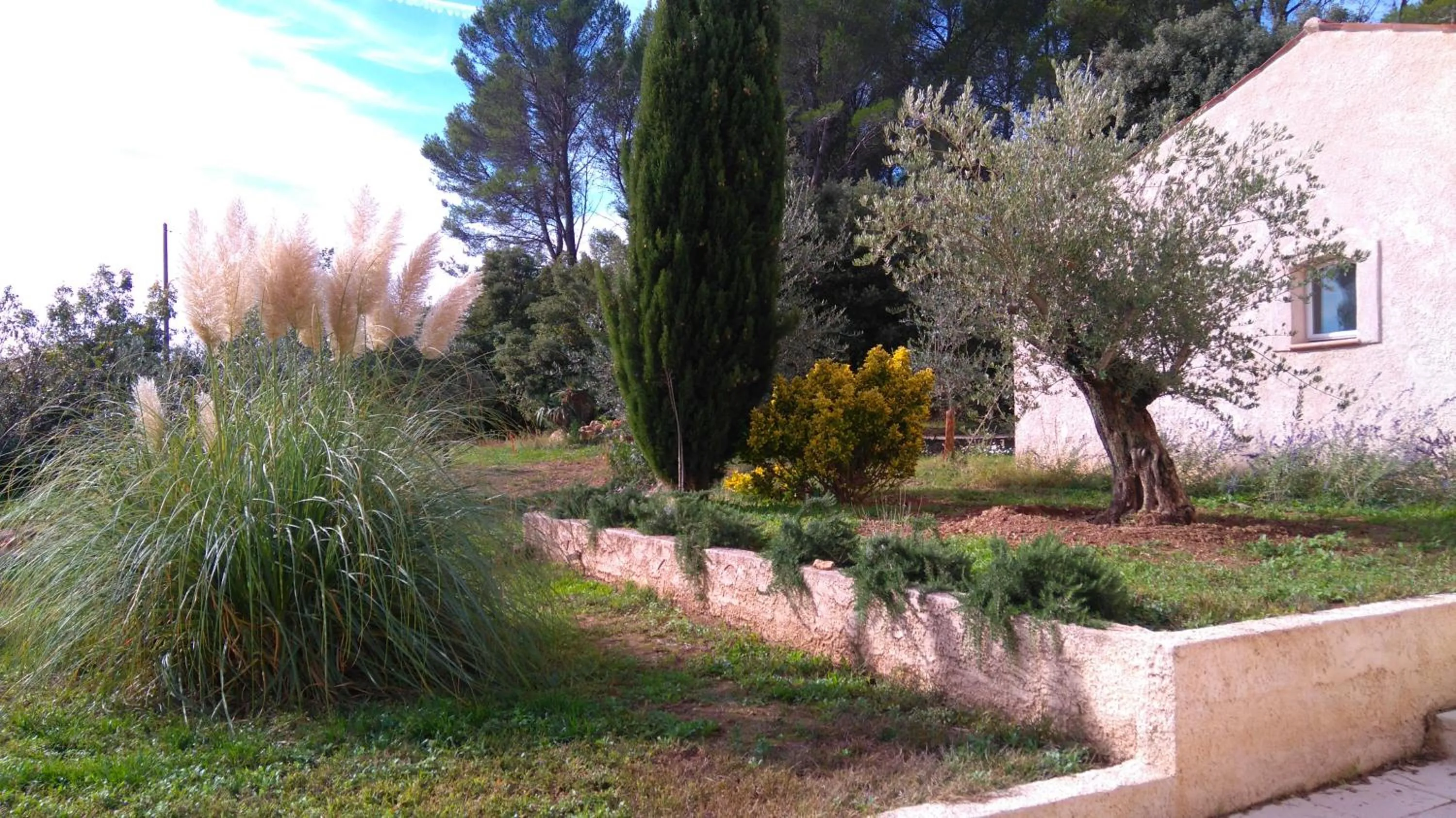 Garden in Chez Isabelle et Guy B&B