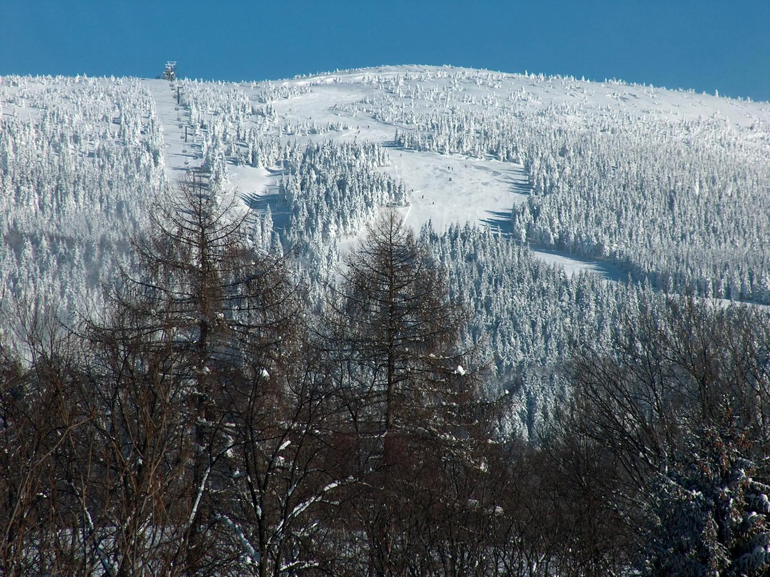 Winter in Hotel Helena