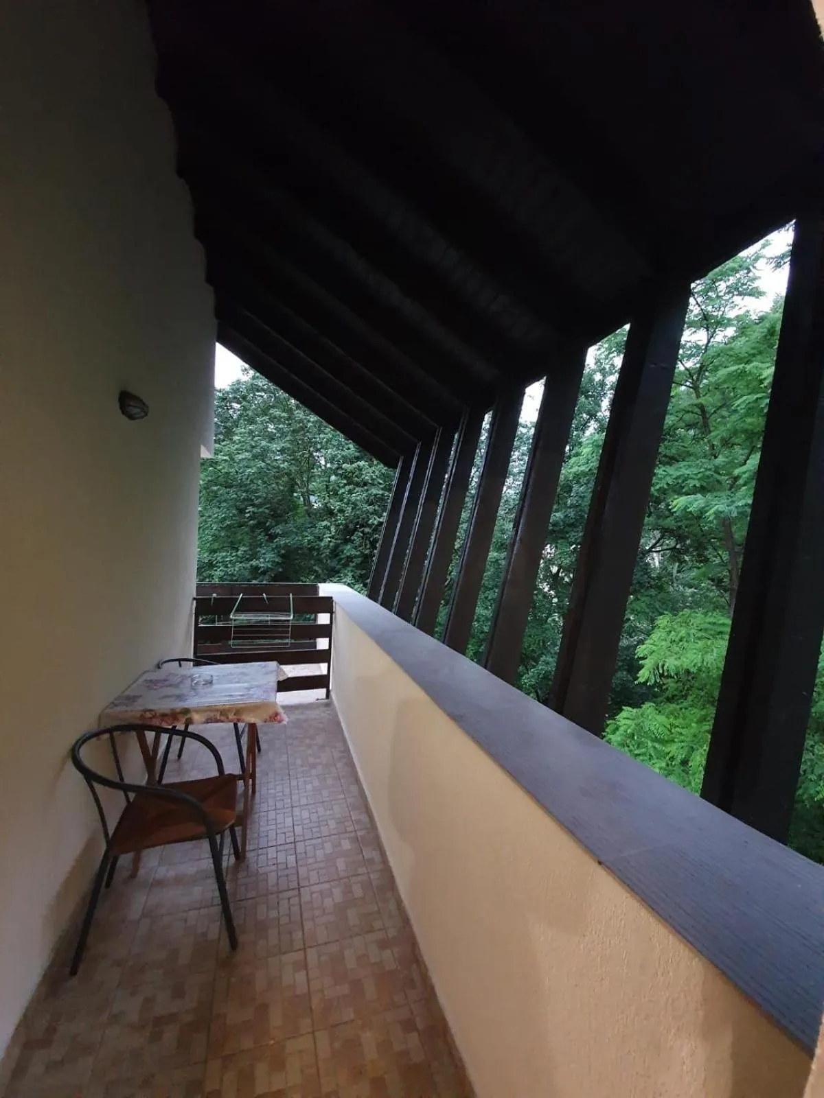Balcony/Terrace in Pensiunea Iasmina si Pescarul