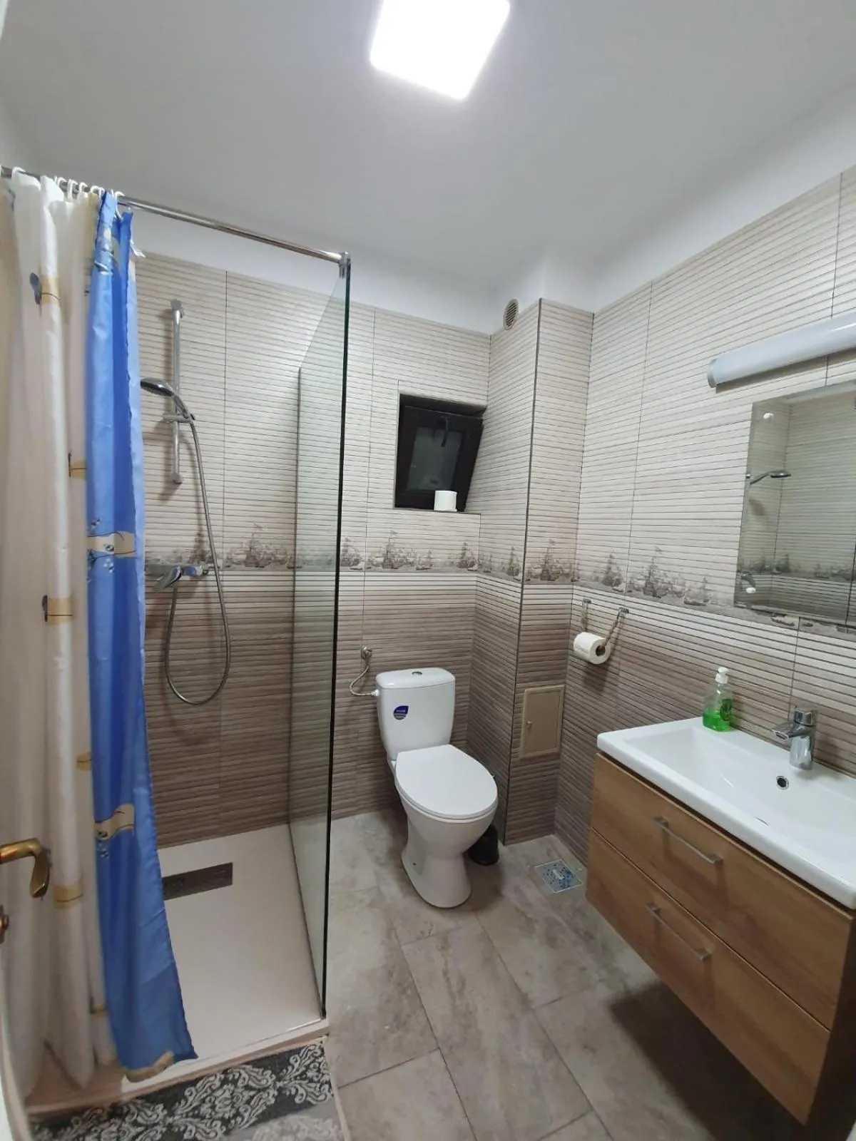 Bathroom in Pensiunea Iasmina si Pescarul
