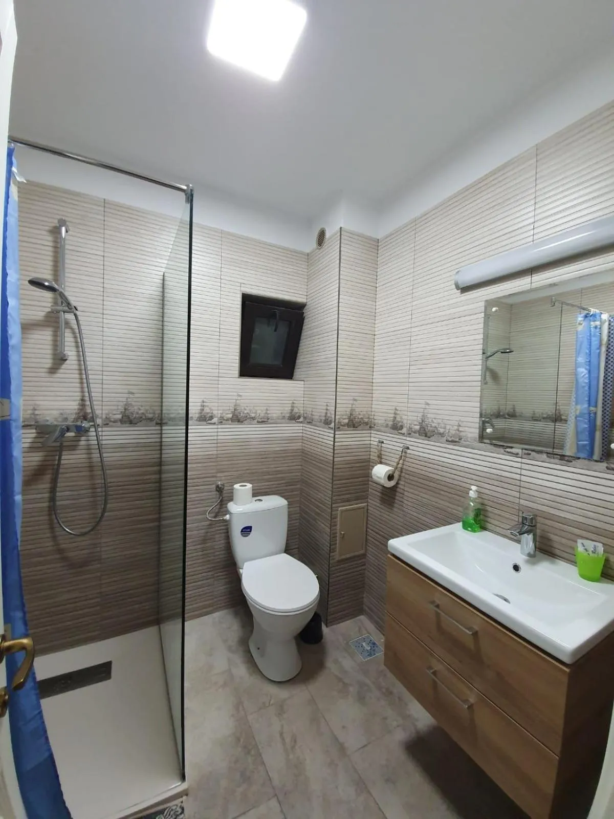 Bathroom in Pensiunea Iasmina si Pescarul