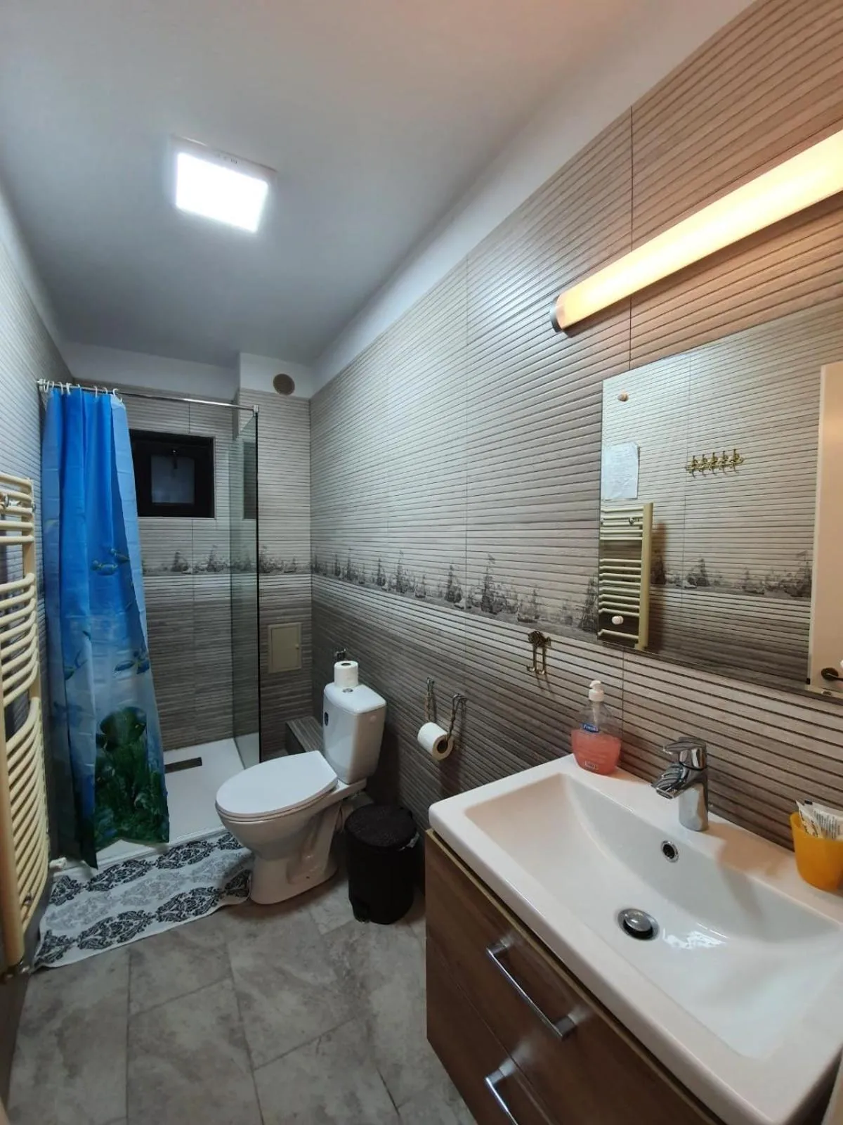 Bathroom in Pensiunea Iasmina si Pescarul