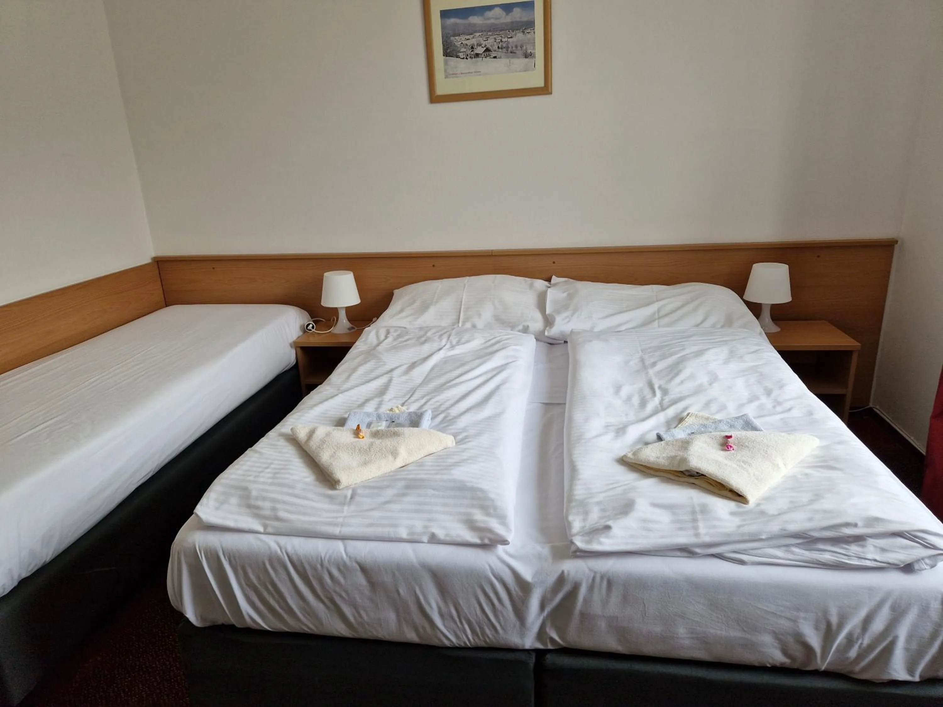 Bedroom, Bed in Hotel Harrachov Inn