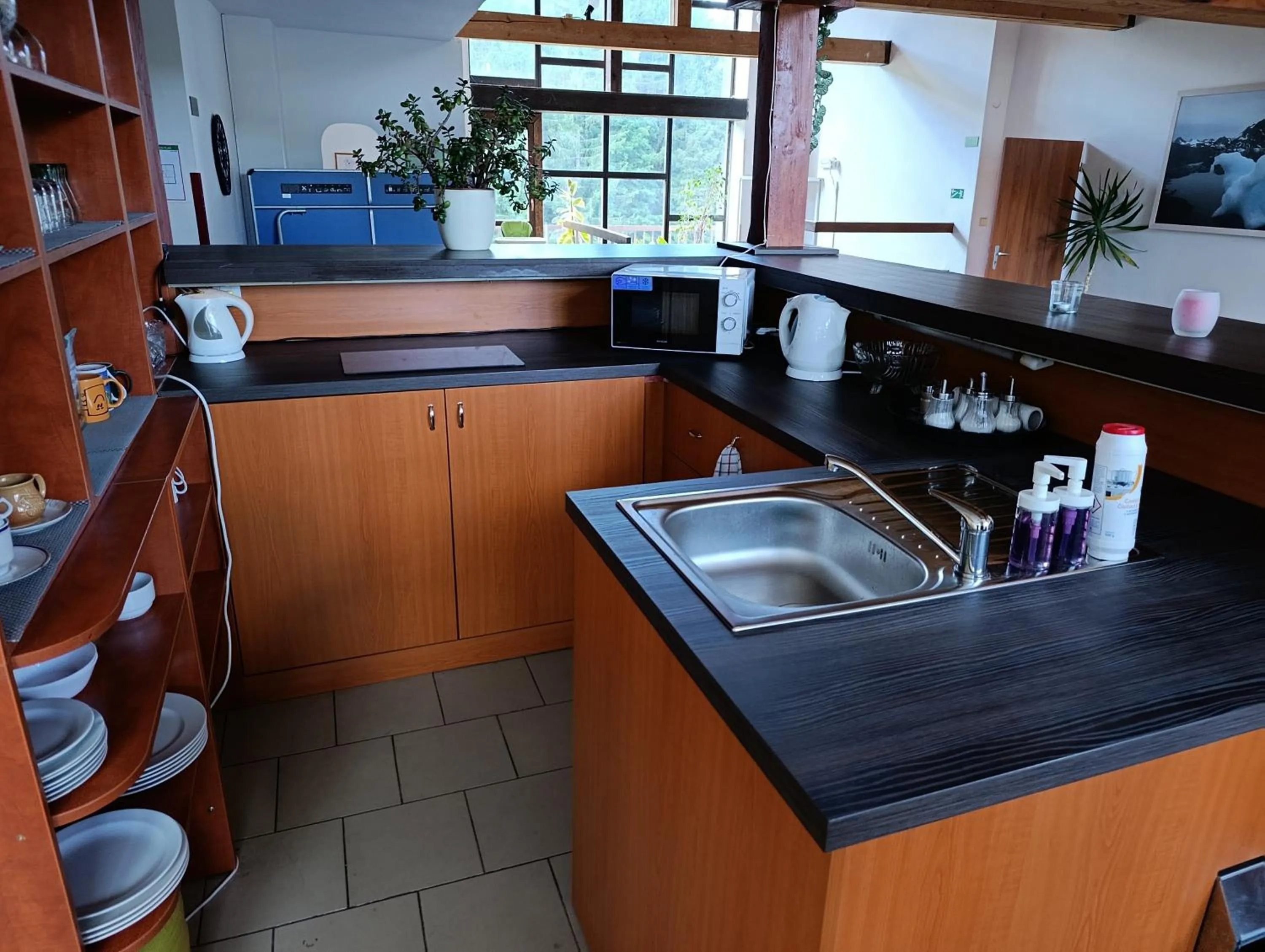 Communal kitchen in Hotel Harrachov Inn