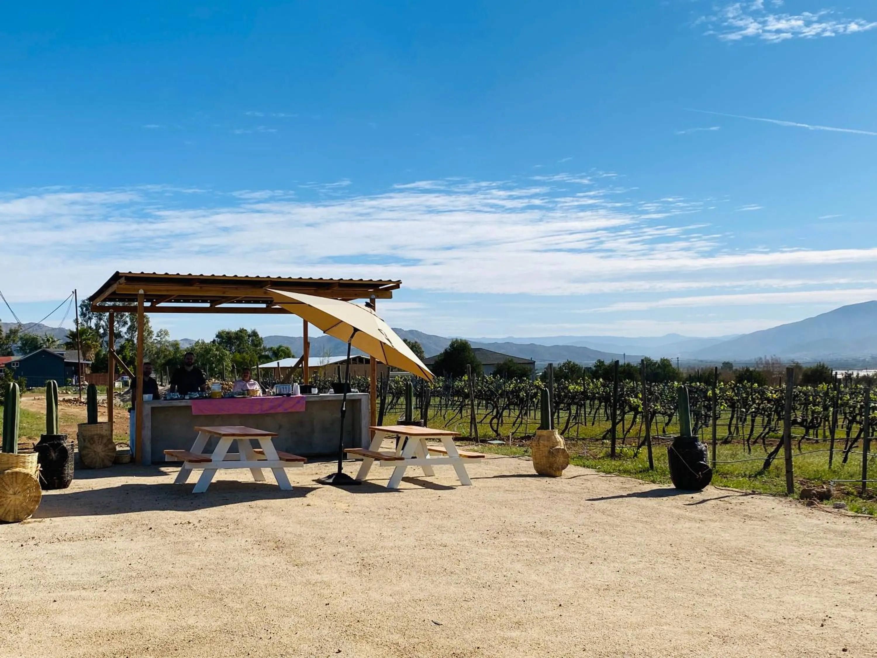 Communal kitchen in The Pangea Valle de Guadalupe
