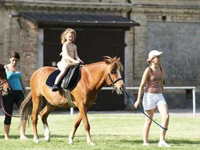 Horse-riding in Záviš z Falkenštejna